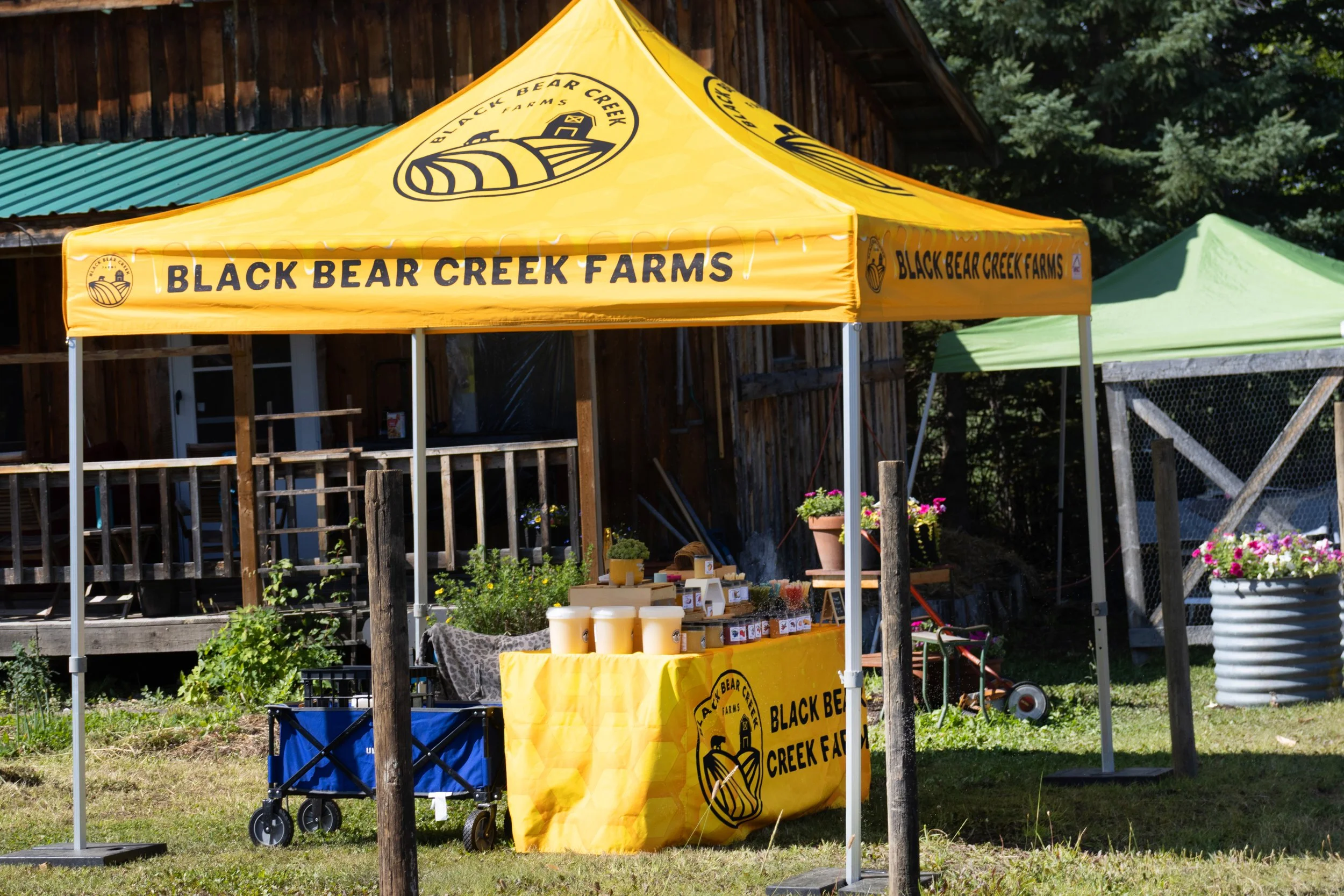 Peace River Petals-02.jpg