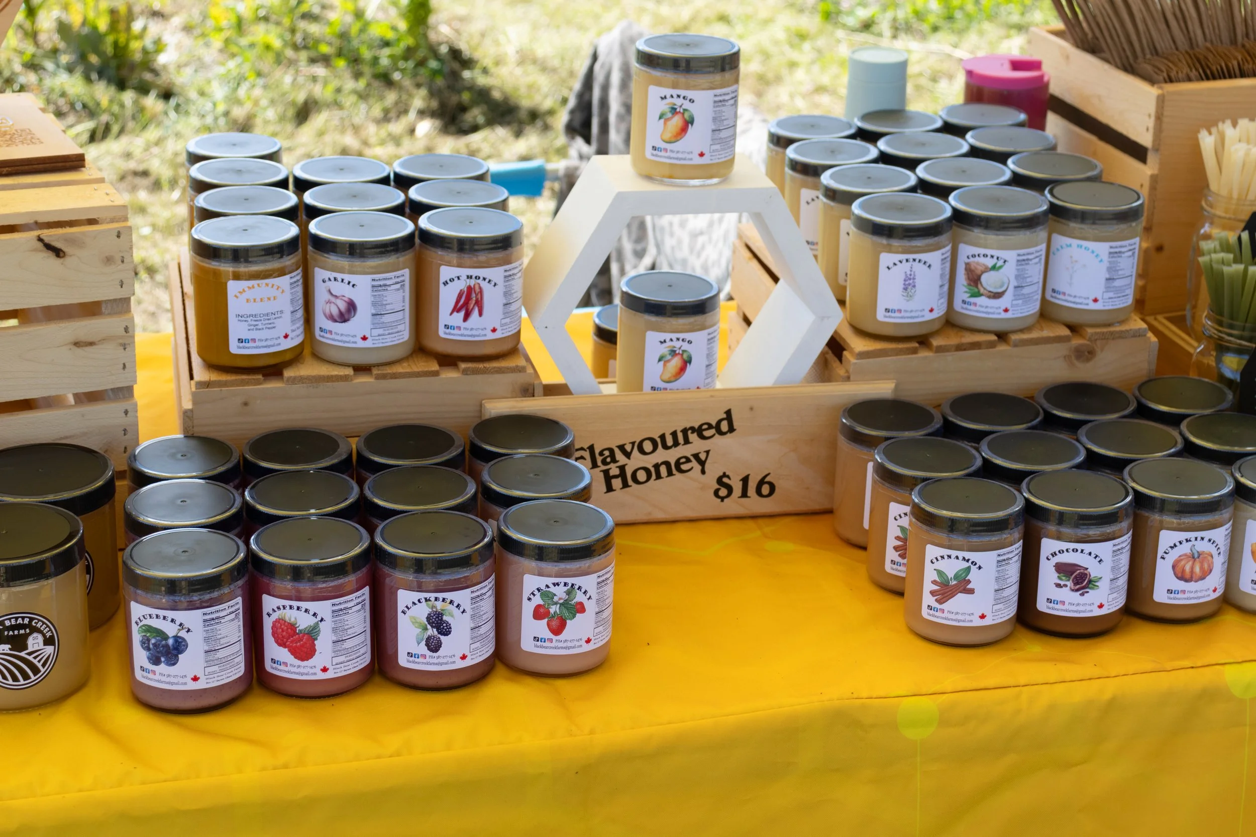 Peace River Petals-01.jpg