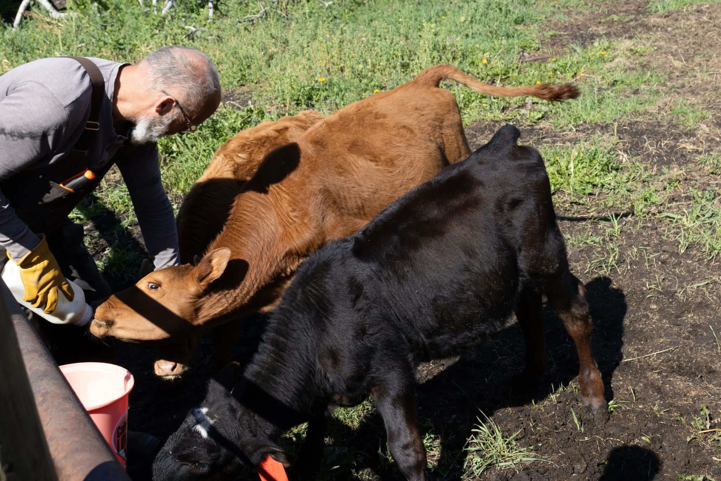 Peace River Petals-35.jpg