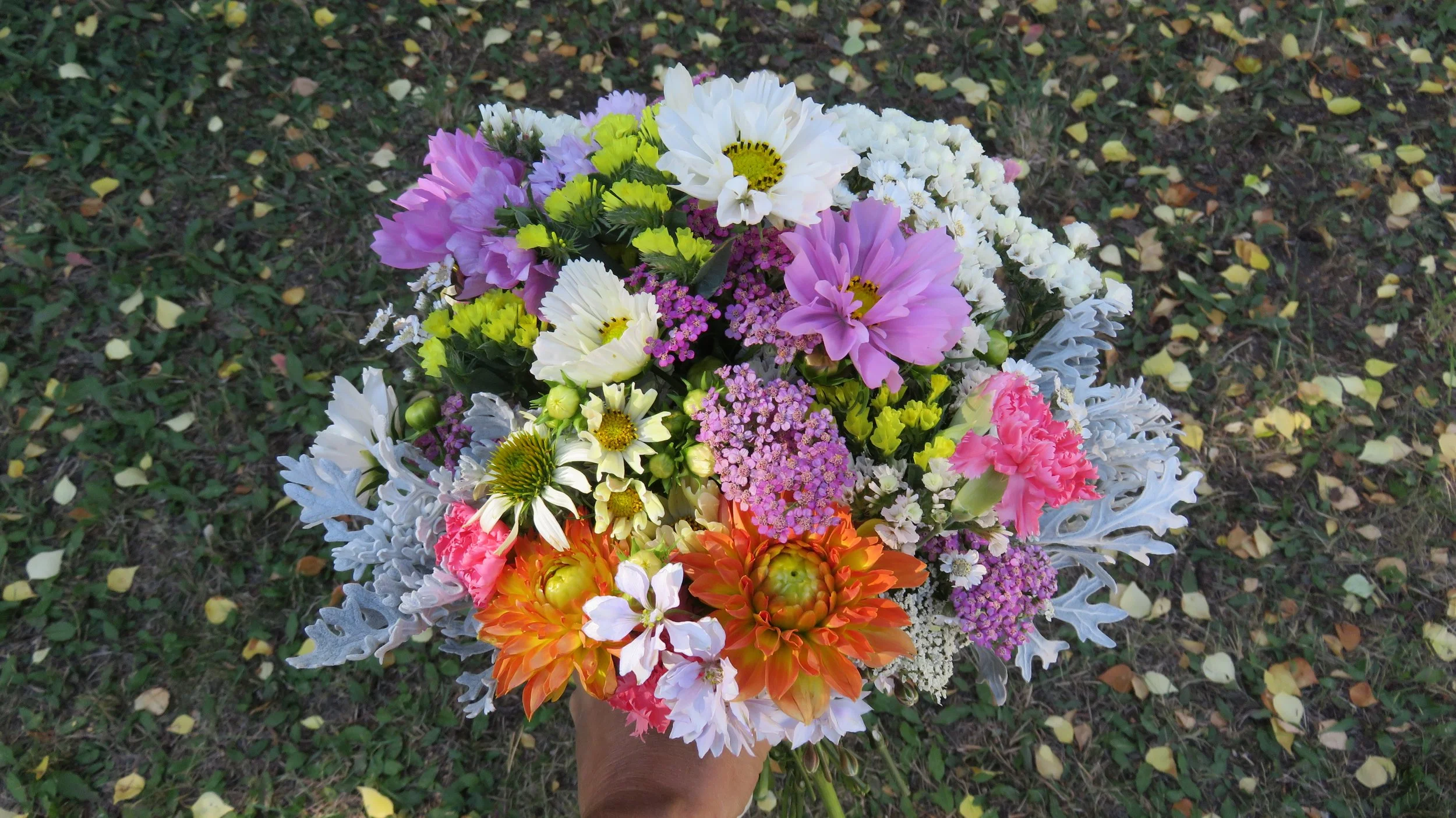 12-weeks of Summer Flowers