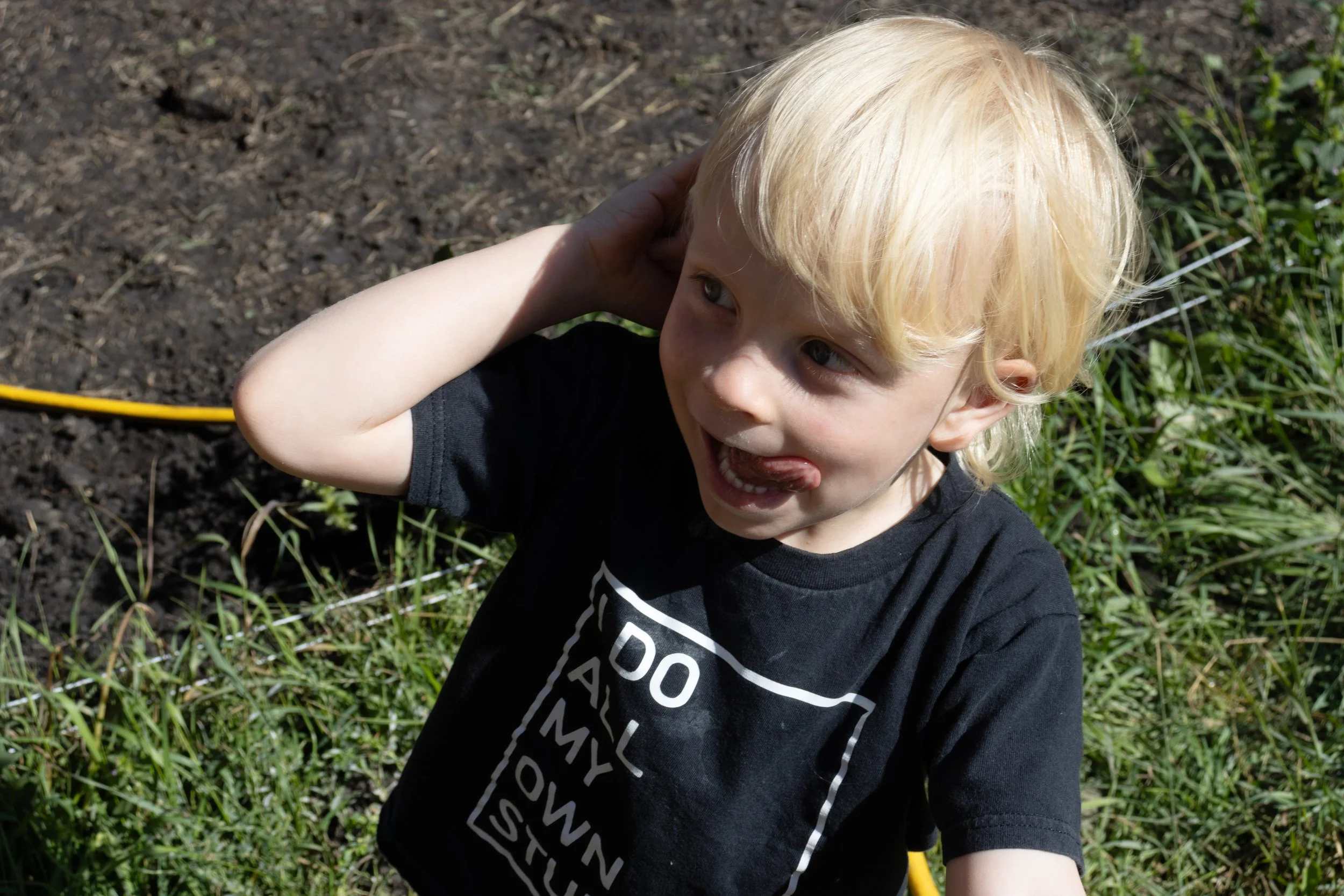 Peace River Petals-03.jpg