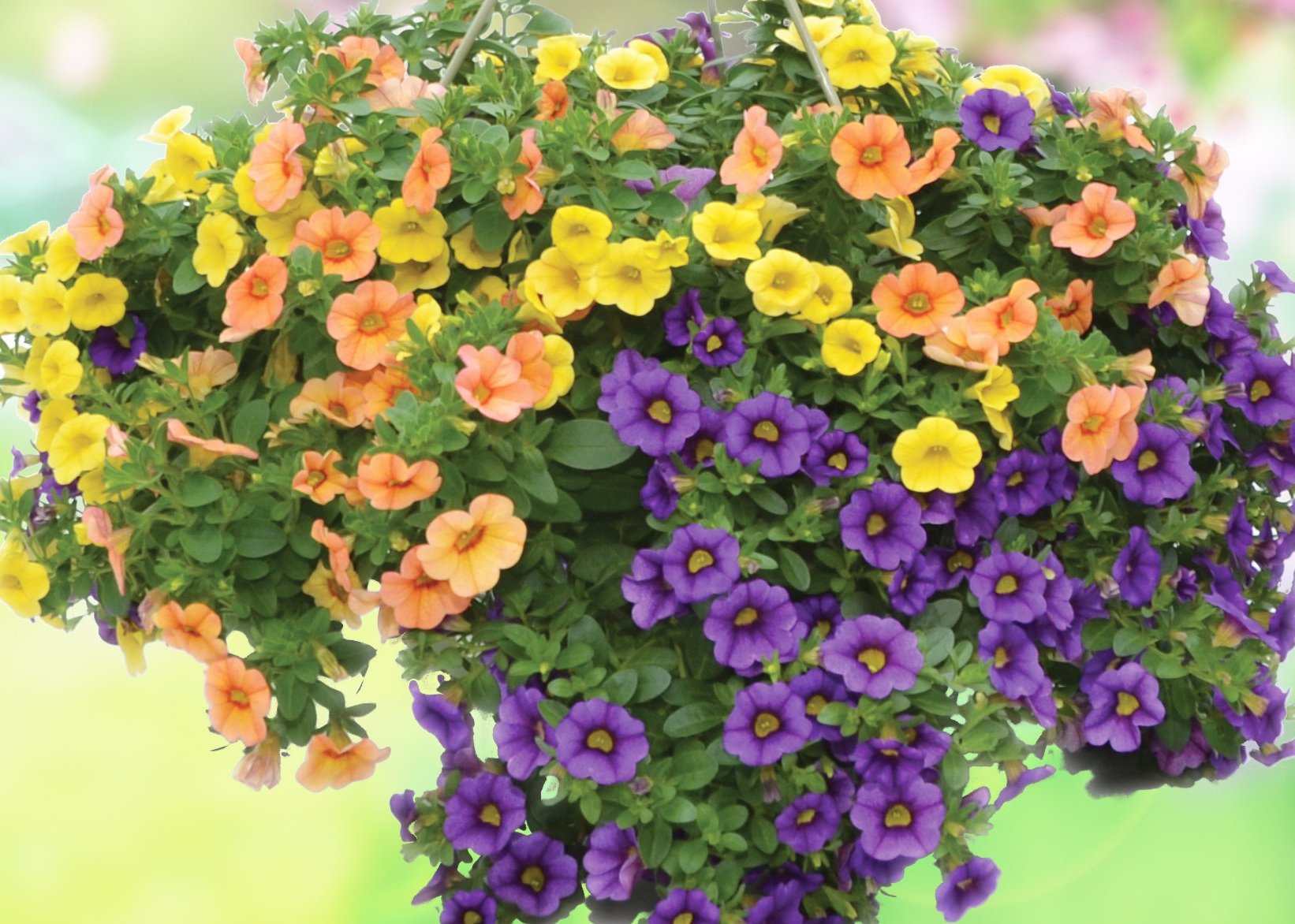 spring-soiree.jpg