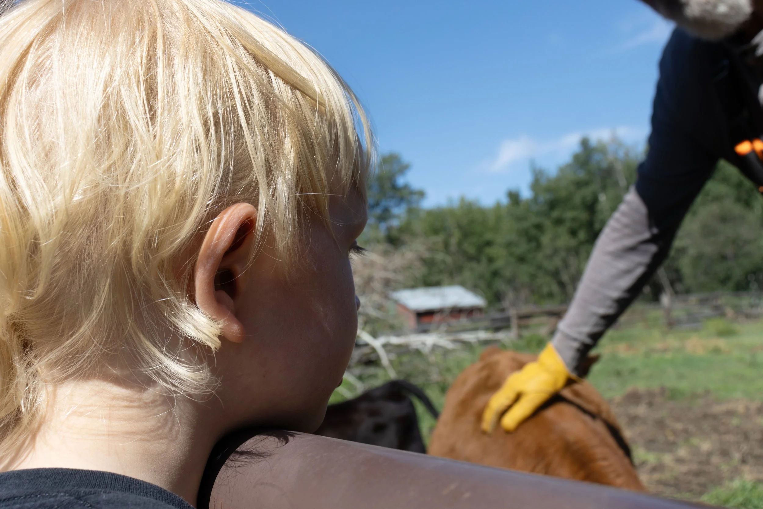 Peace River Petals-43.jpg