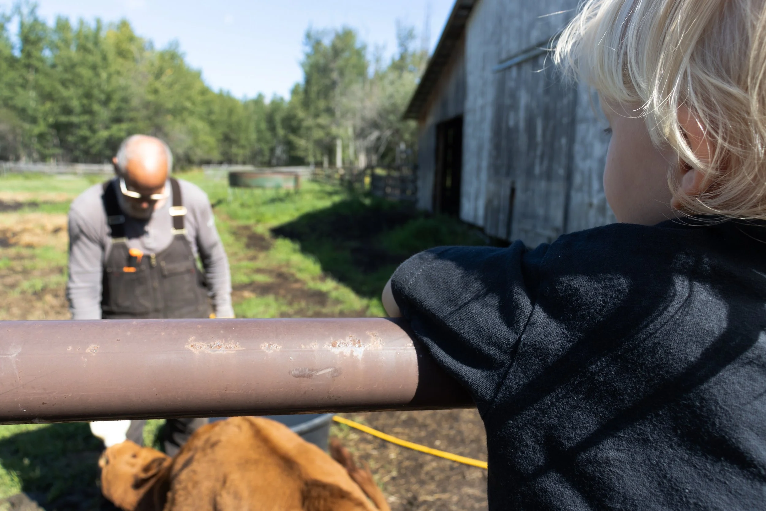 Peace River Petals-39.jpg