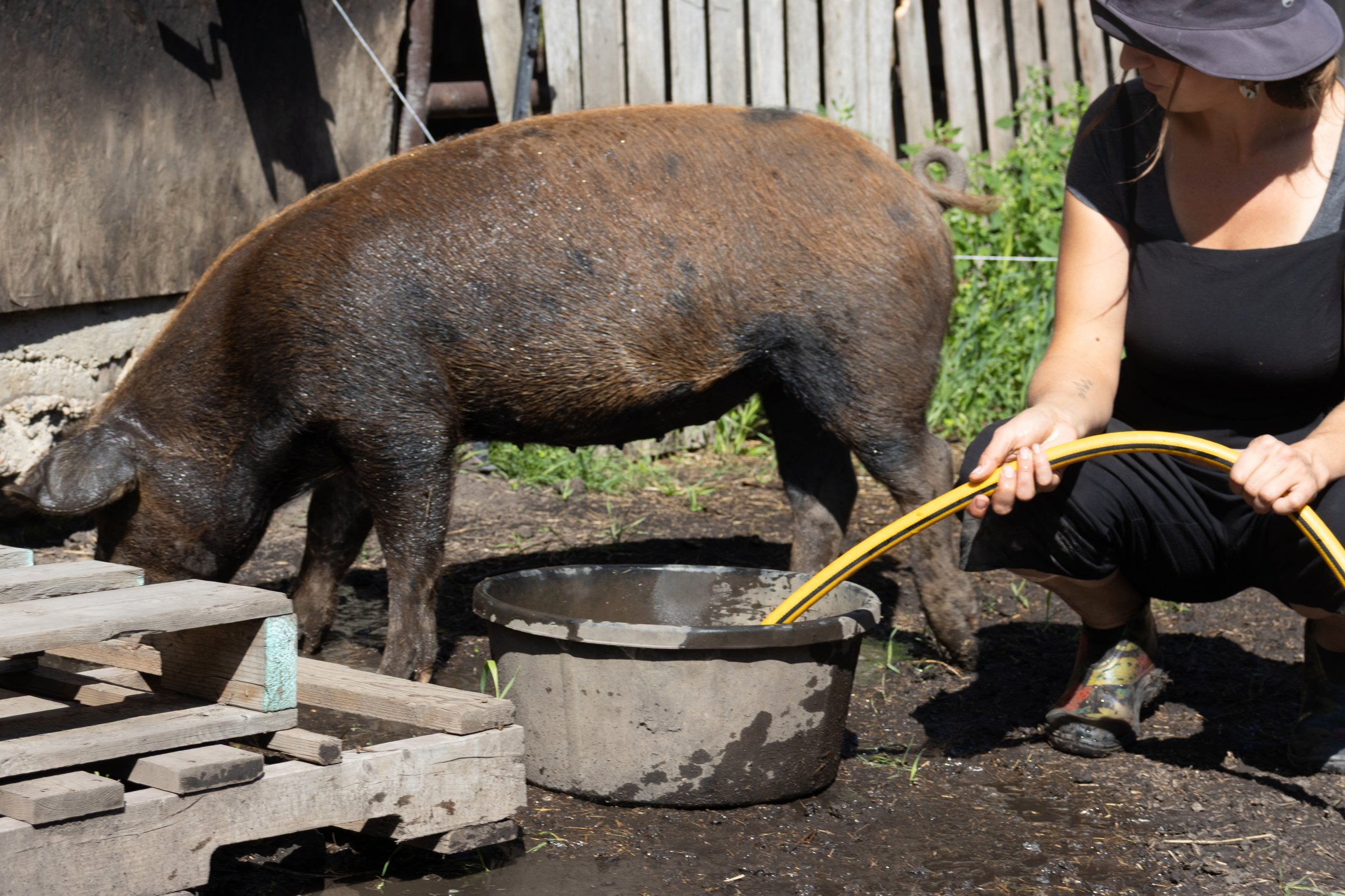 Peace River Petals-08.jpg