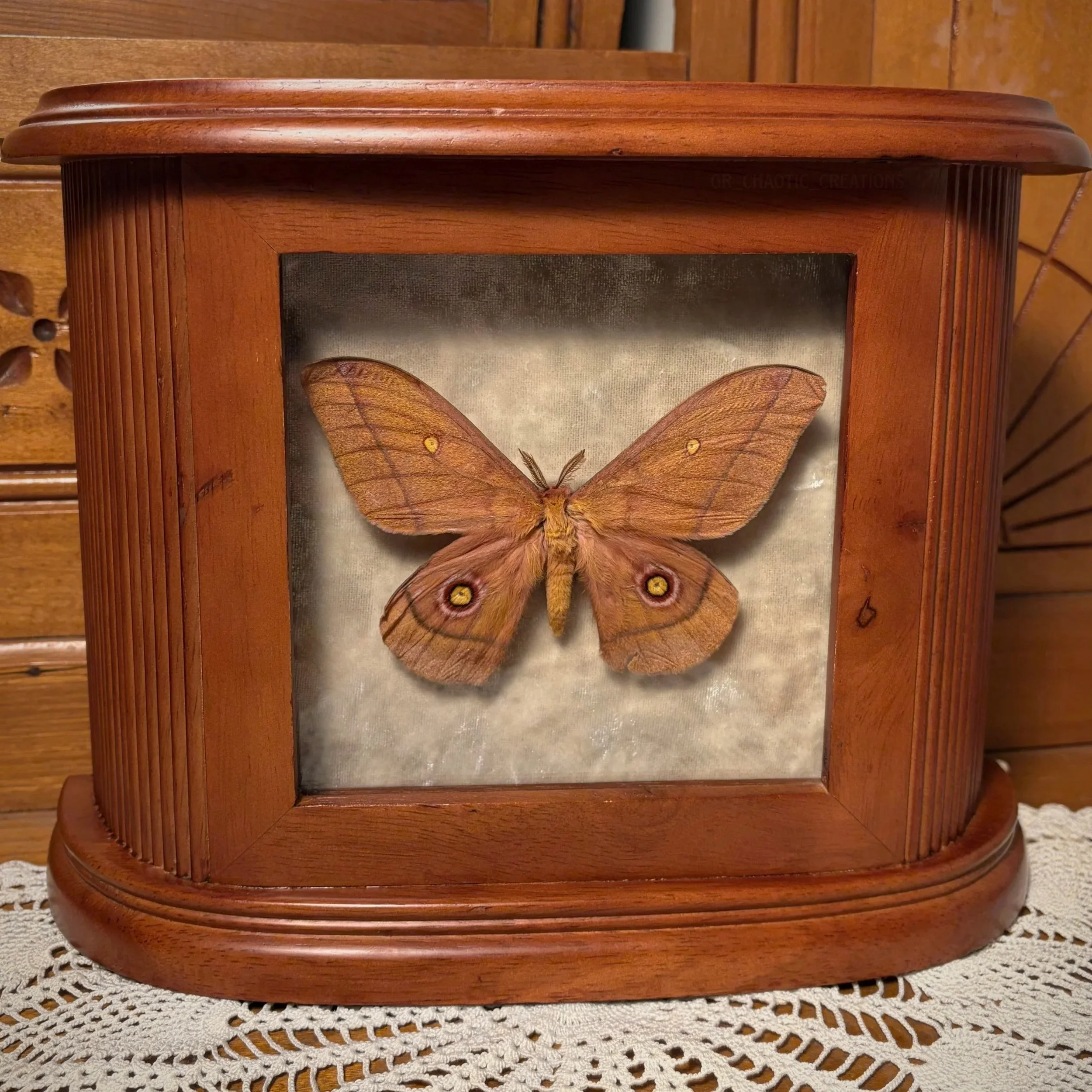 red+%26+pink+moth.jpg