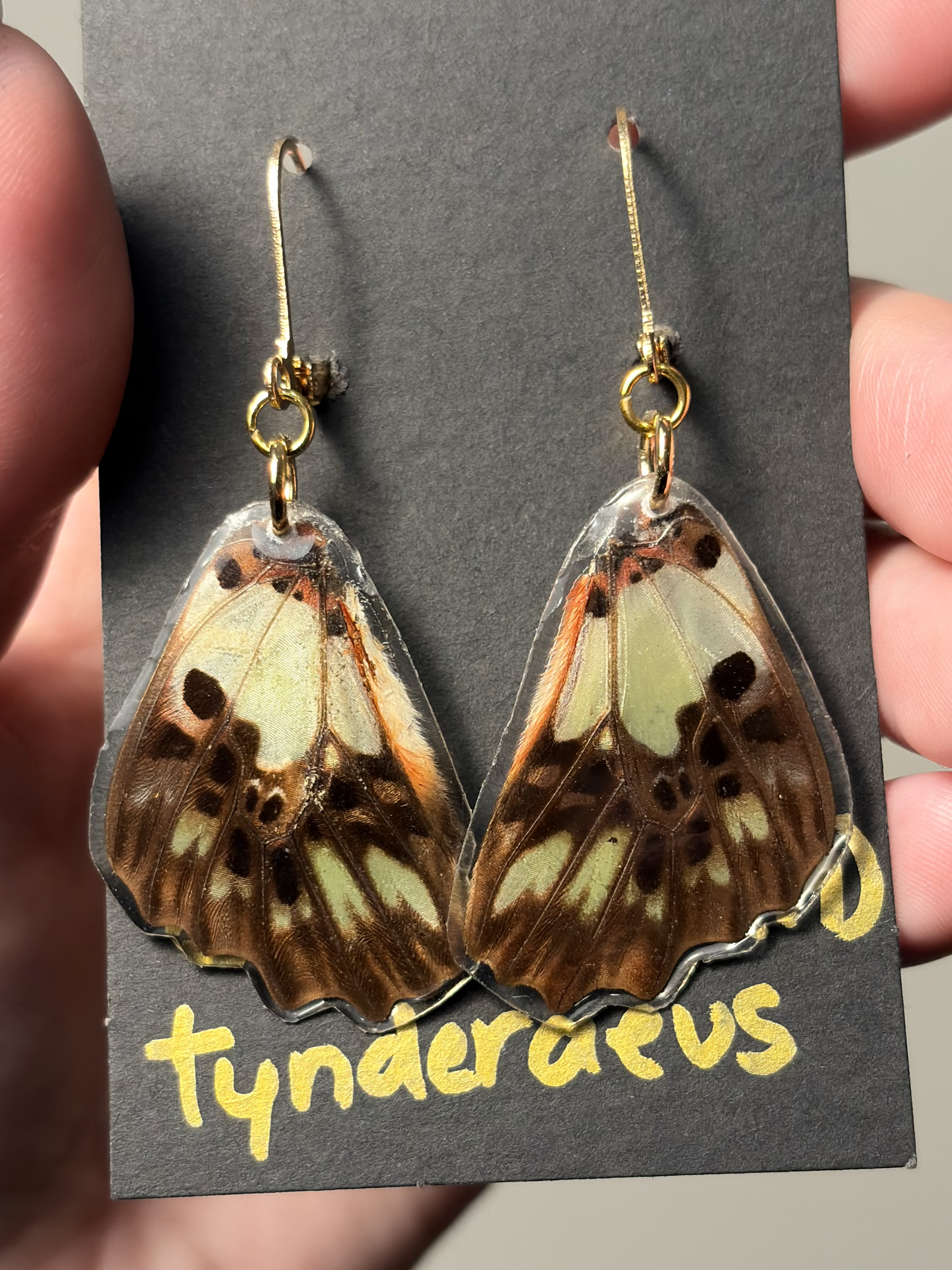 Electric Green Swordtail Earrings - Hindwings