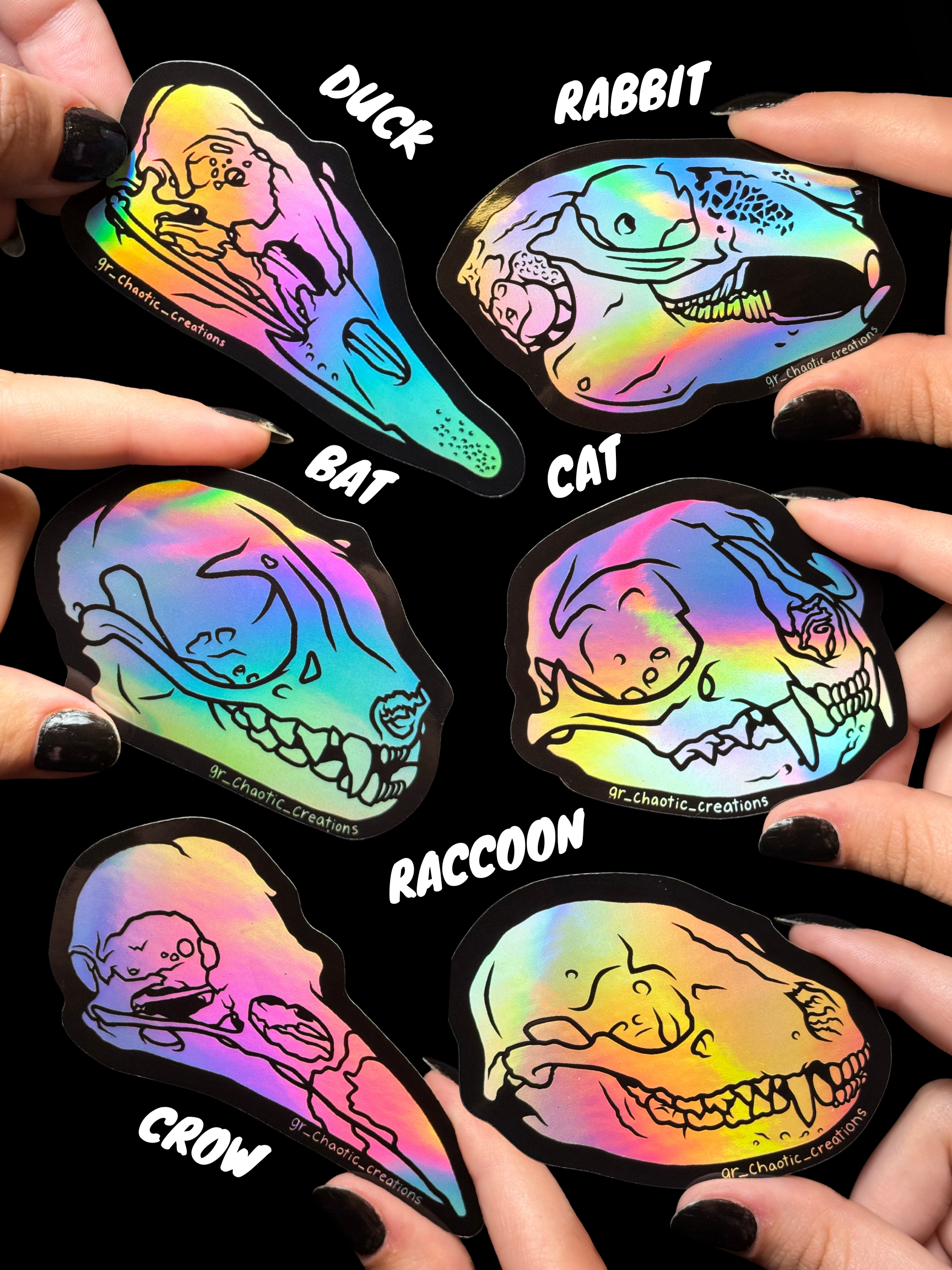 2 Versions Available (1).png