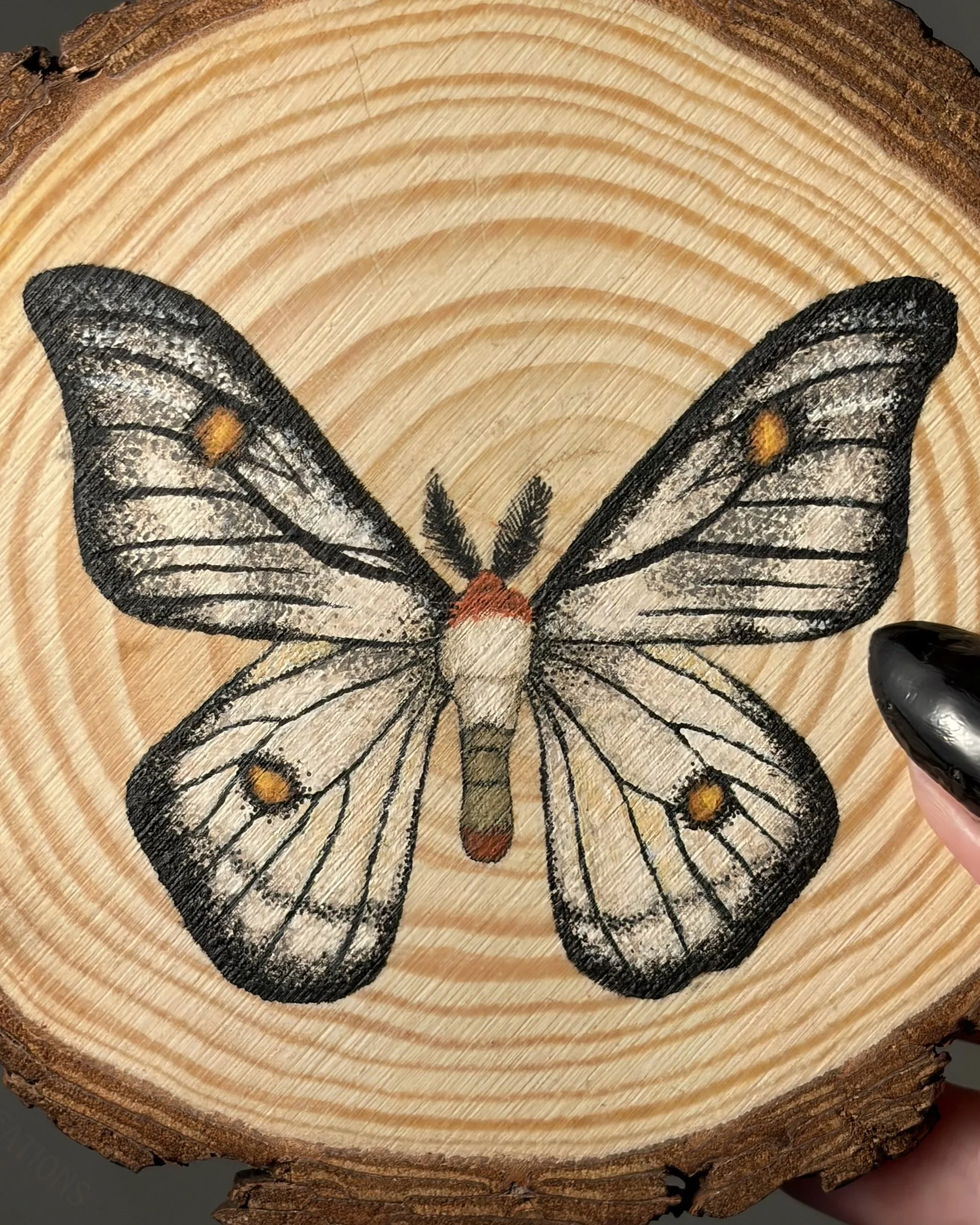 cgfvghvjbn bghhjg.jpeg