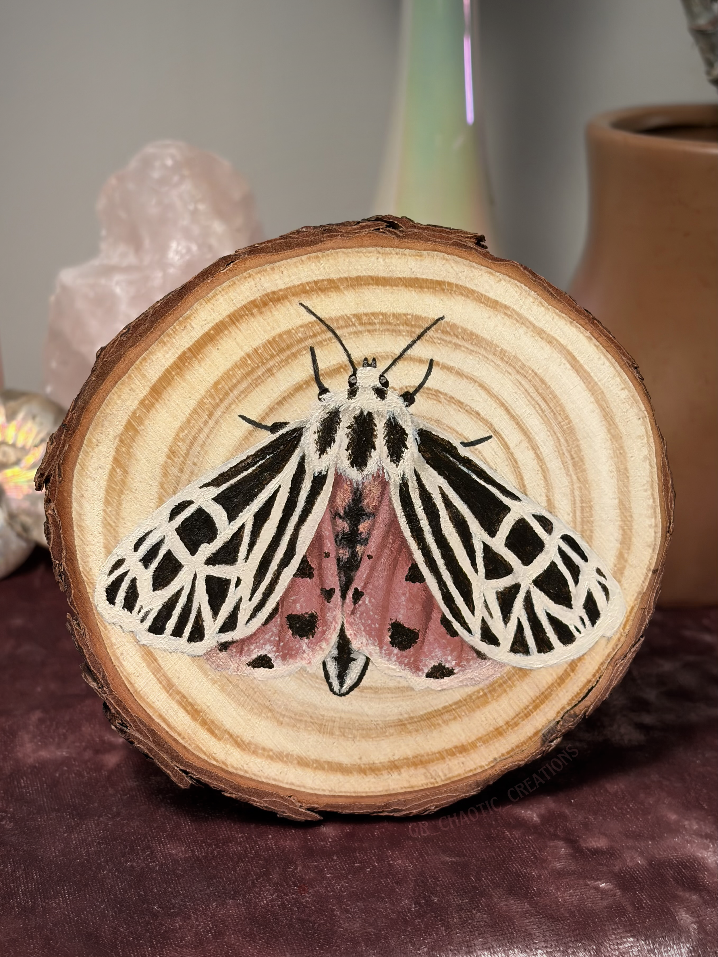 Virgin Tiger Moth Mini Painting on Wood