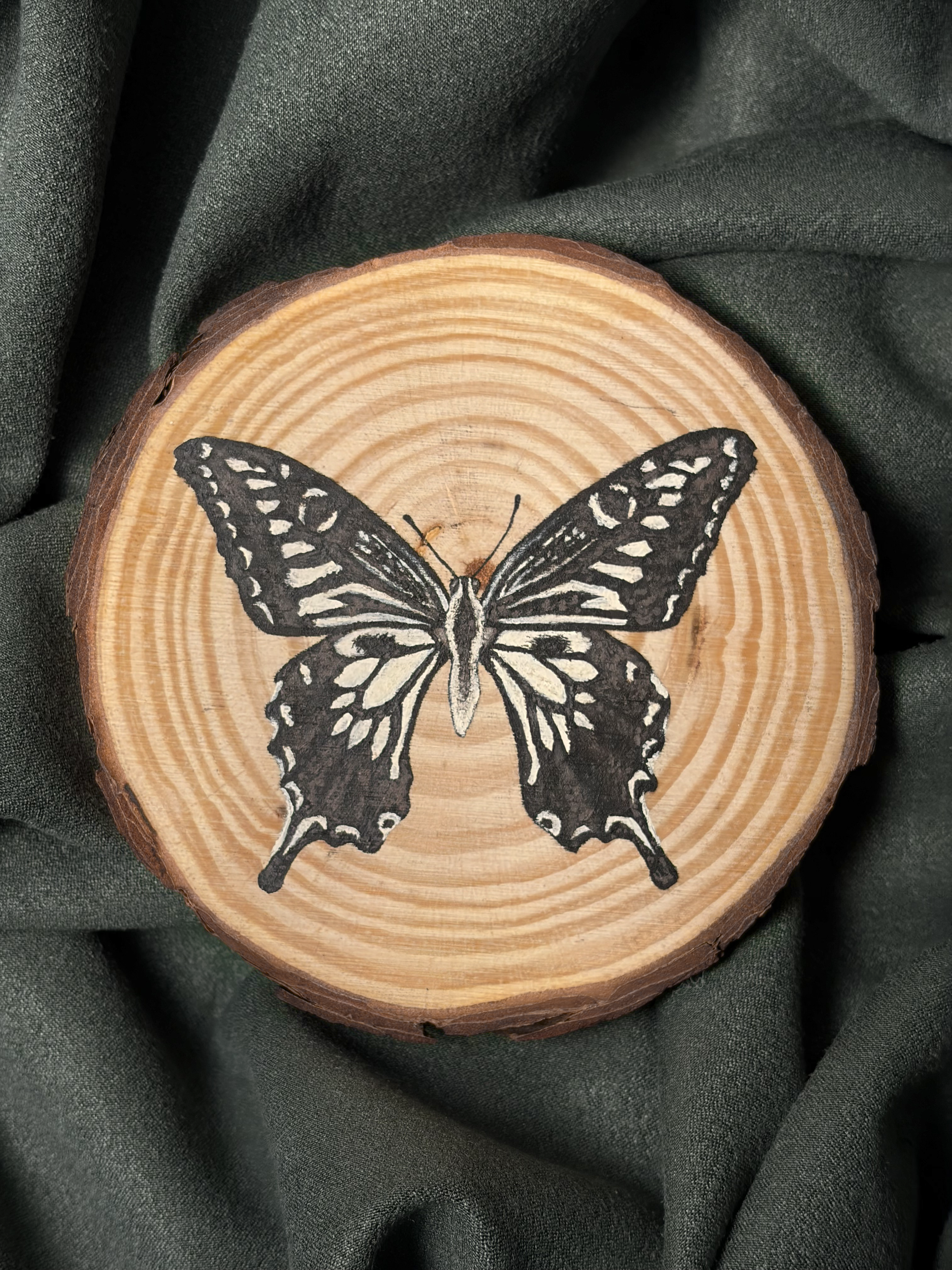 Asian Swallowtail Mini Painting on Wood