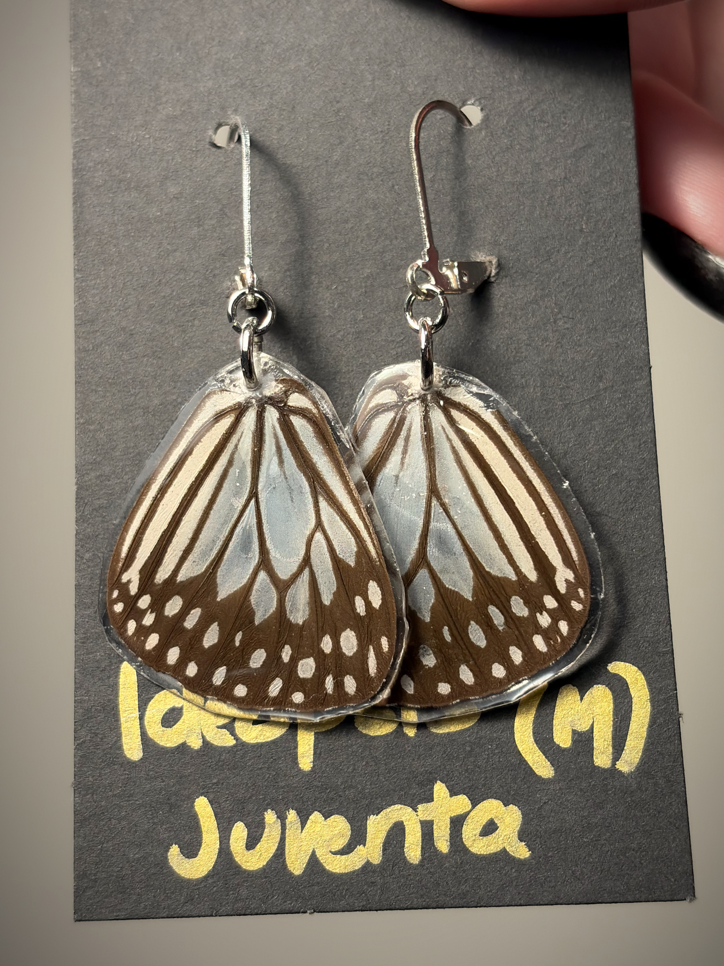 fdxgchvjbkbhgfc .png