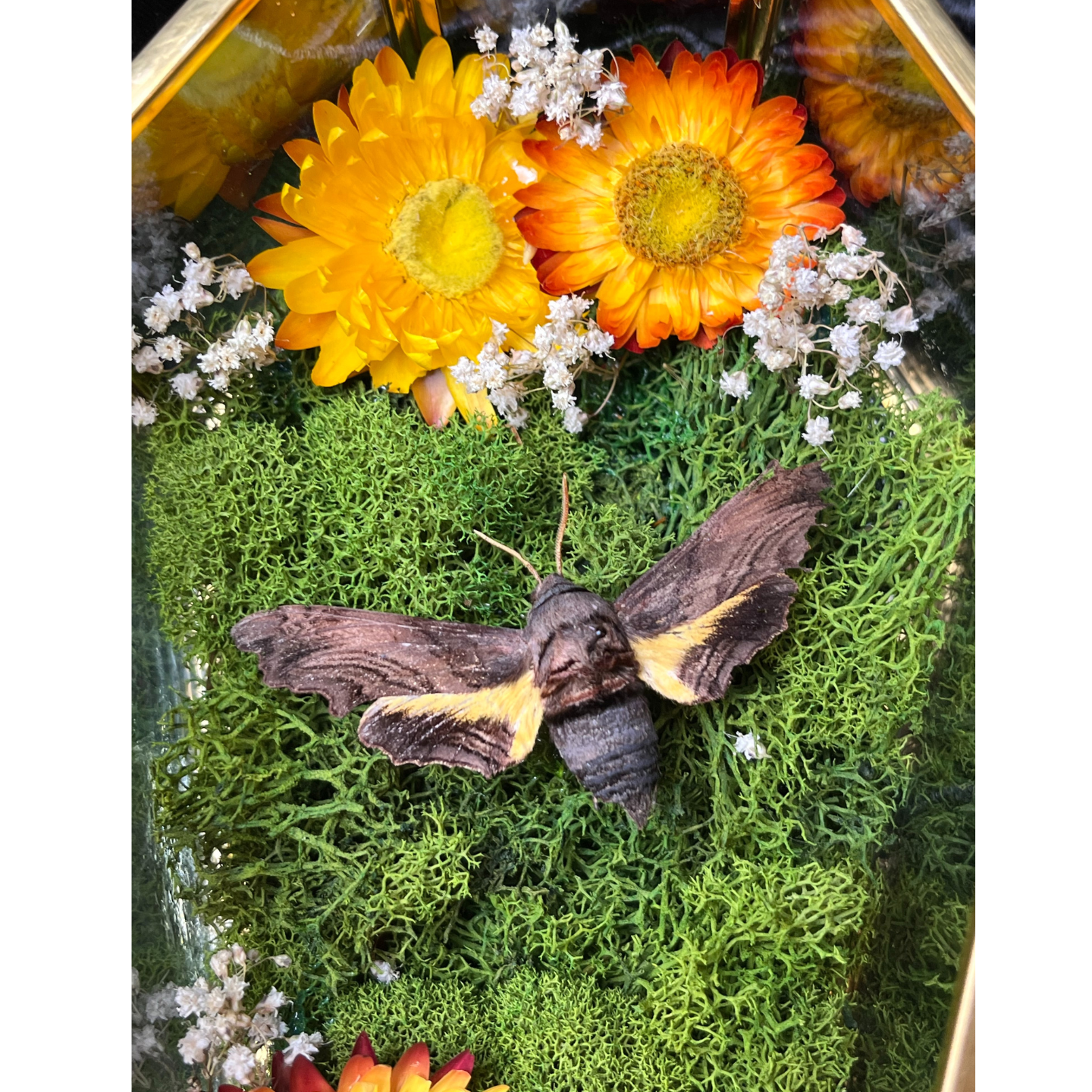 Untitled design (26).png