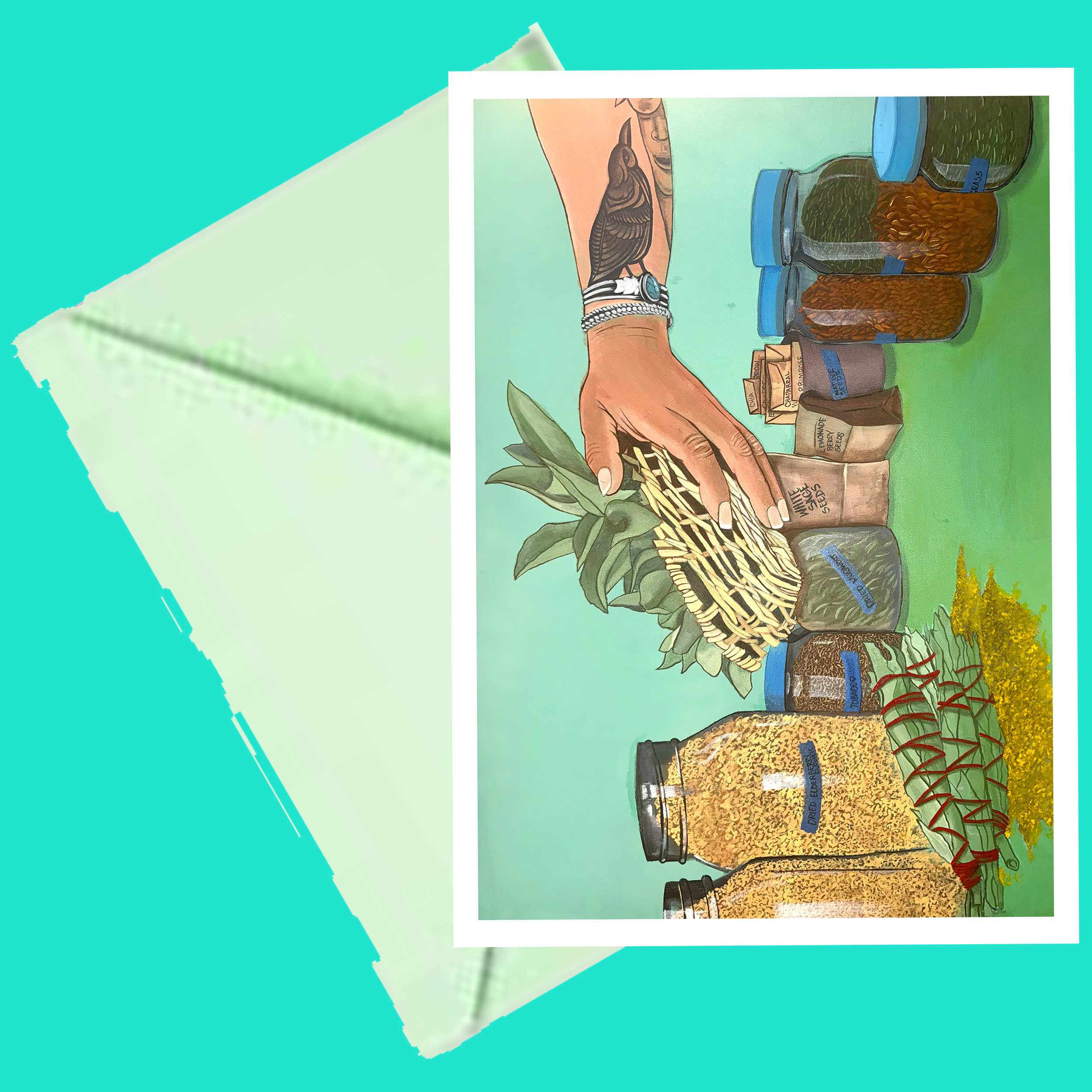 plantmedweb.png
