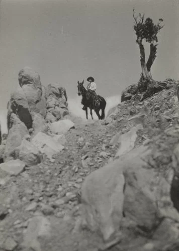 17477-0042.jpg