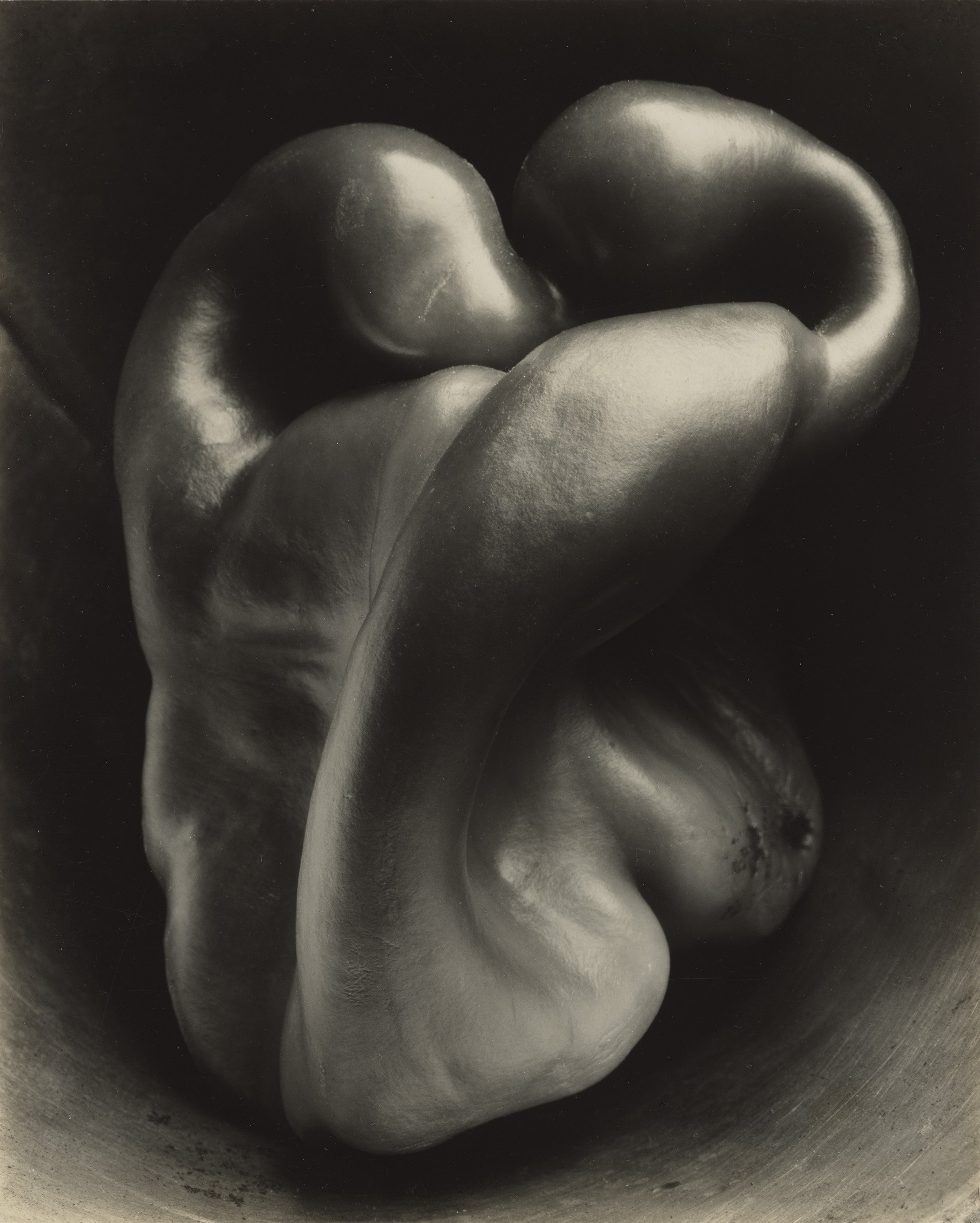 Edward Weston: Life Work