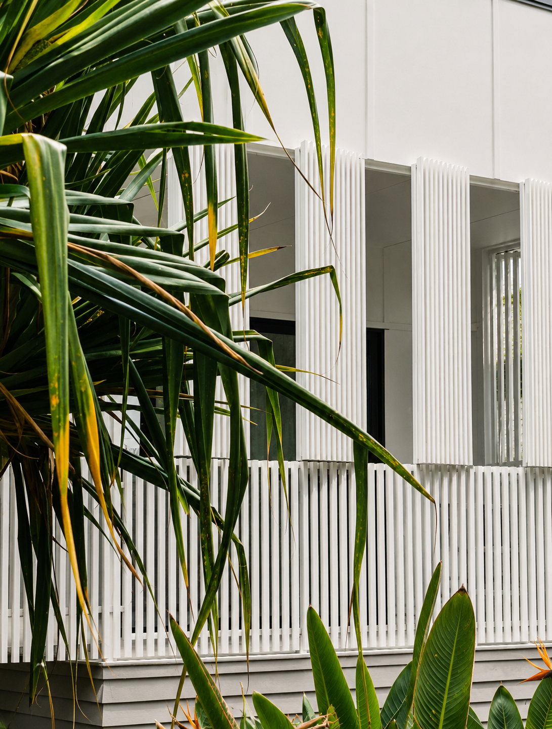 Modern building with white vertical slats and large green tropical plants in the foreground.