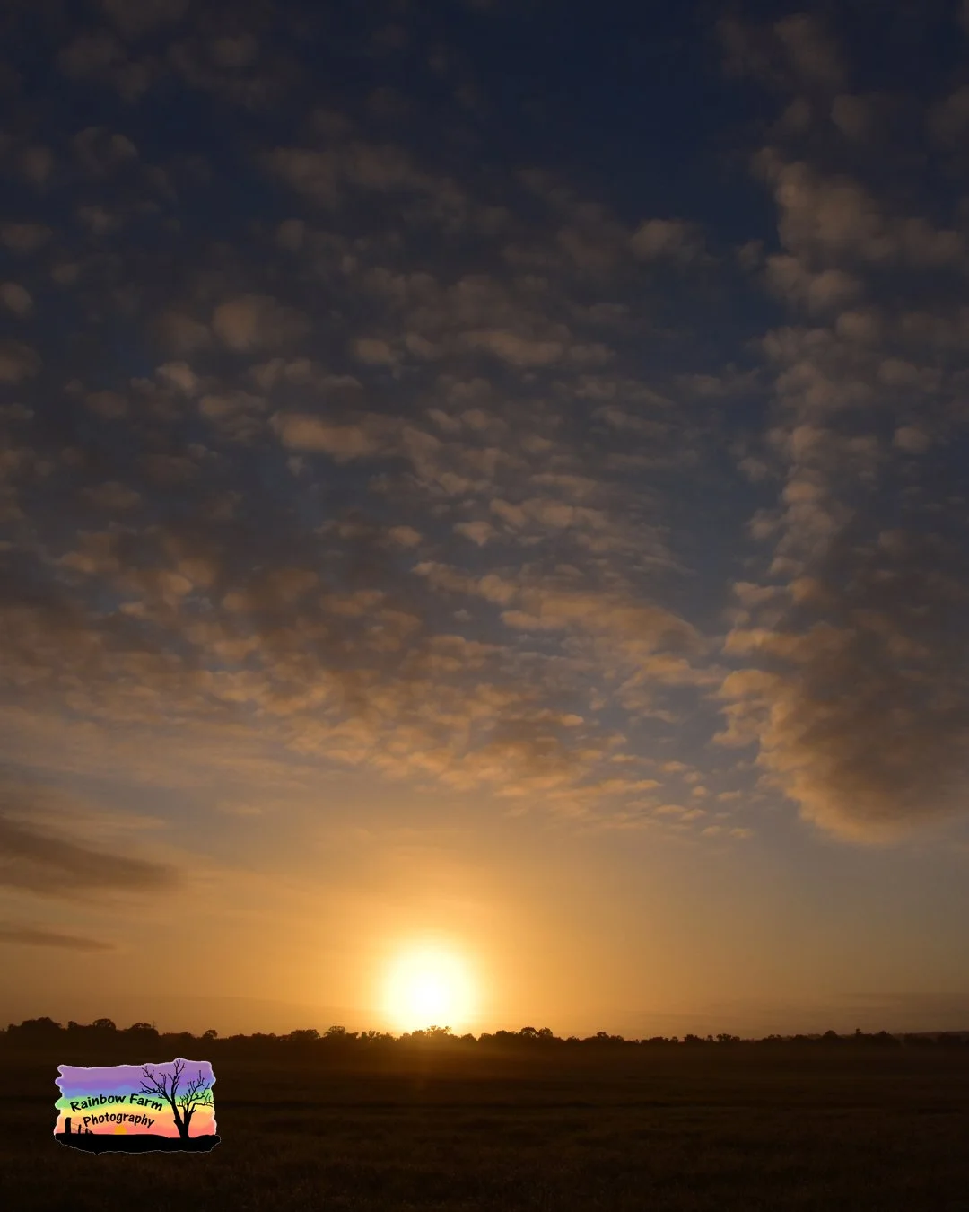 Weekly sunrise catch up

29th September to 5th October 2025, Busselton, Western Australia

Is this a special day for you or maybe a friend/ relative?

How about a unique gift of the sunrise where you can have a specialised sunrise with a name of your