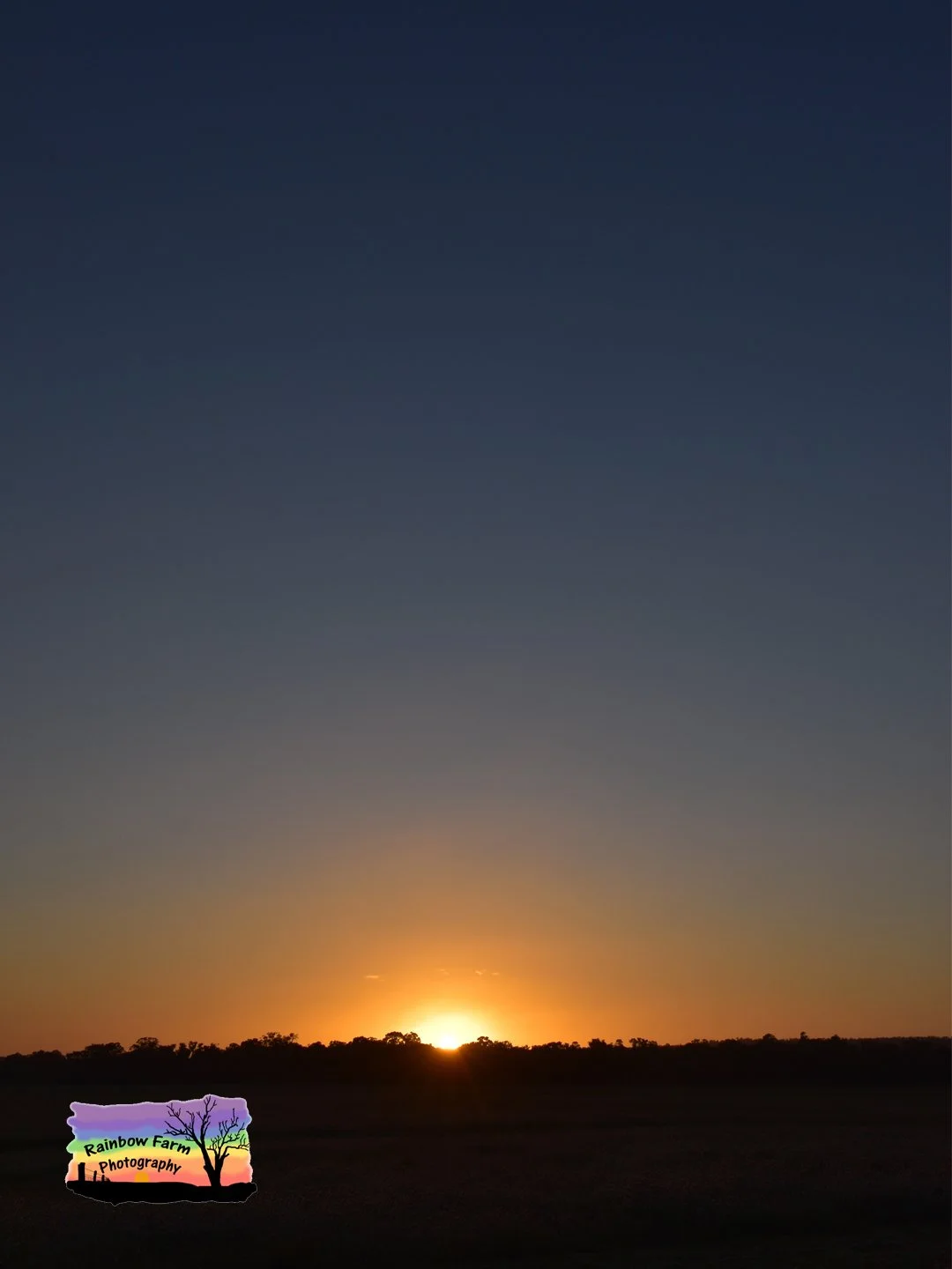 A great week for sunrise with one for every day have done a seperate post with some mock ups of these as wall art some with quotes it is inspiring to have a sunrise to wake to every morning and catch a glimpse of at any time of the day.

13th to 19th