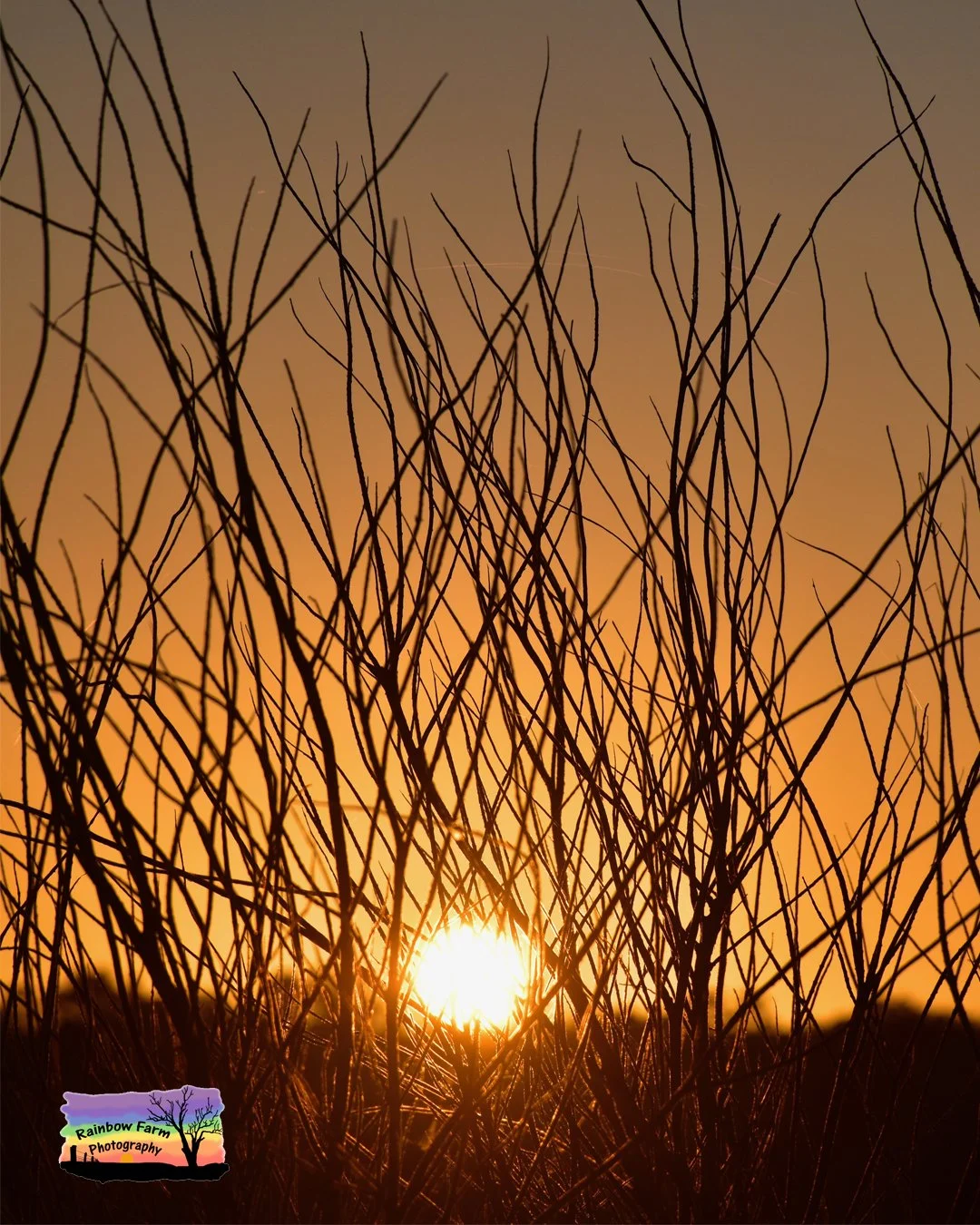 Weekly Sunrise catch up been another up and down week with all seasons in one day every day.

27th October to 2nd November 2025, Busselton, Western Australia

Is this a special day for you or maybe a friend/ relative?

How about a unique gift of the 