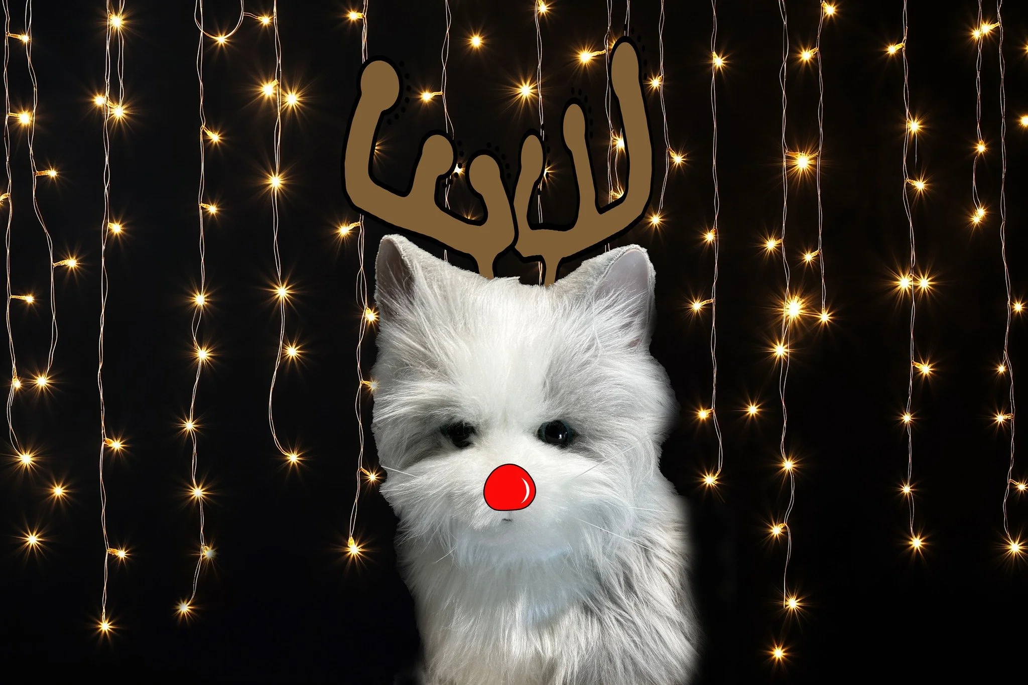 This week I have been doing Christmas Edits for clients and it gave me the idea to do a couple for my beautiful Mother who has dementia.

We got her this gorgeous companion cat who she named Sasha (yes it has been confusing with my fur baby being nam