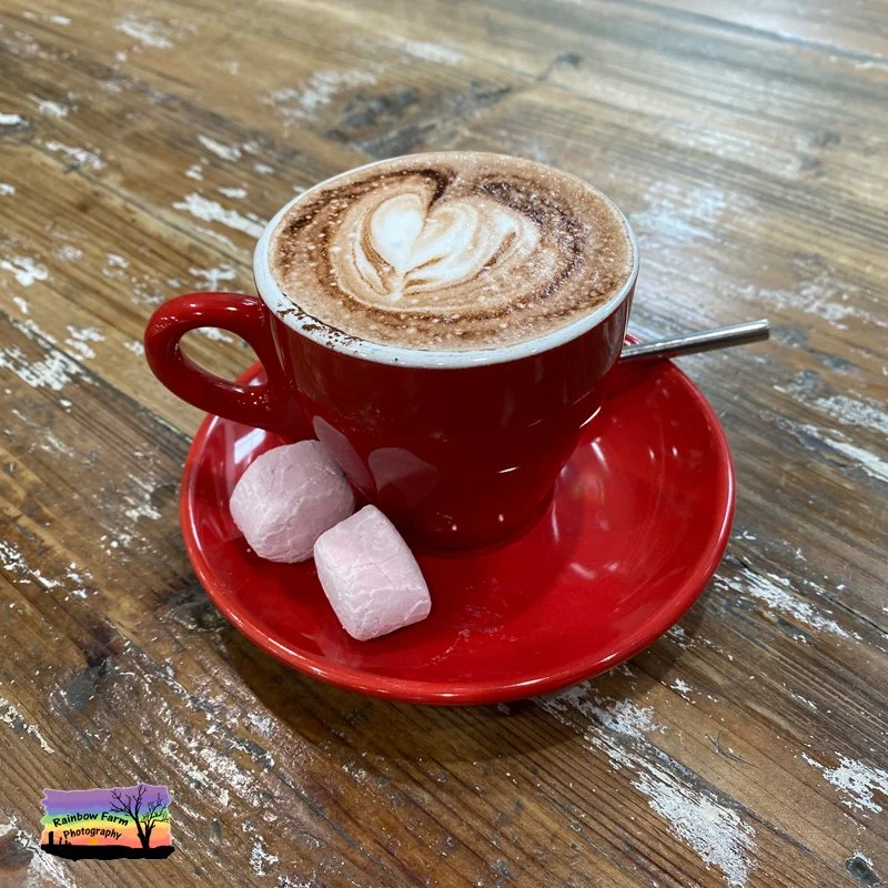 It's National Hot Chocolate Day &hellip;

 Which is I must confess my favourite day.

Some people start their day with coffee &hellip;

 Mine begins with the sunrise first then home to a mug of hot chocolate and a quiet moment in nature on the verand