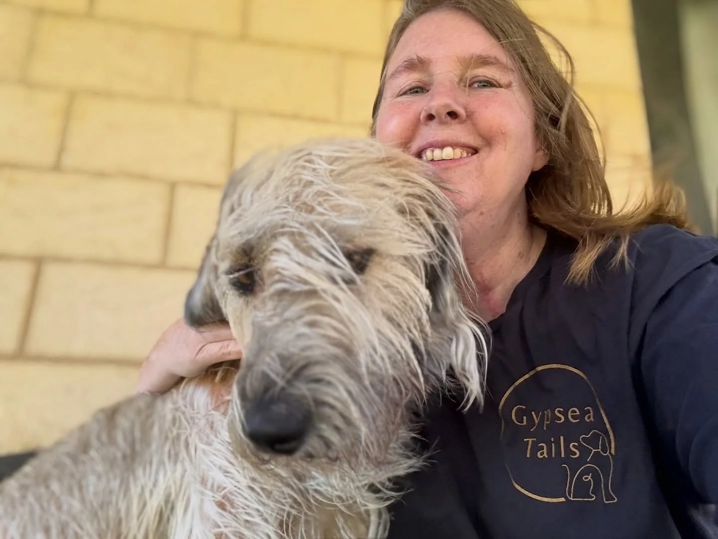 Don&rsquo;t work with animals or children they said.

My lovely manager at @gypsea_tails  is updating their website and asked for a new photo well I envisioned being pretty cuddling up to Sorsha a perfect pic.

🤣😂😜🤪

Sorsha and the wind had other