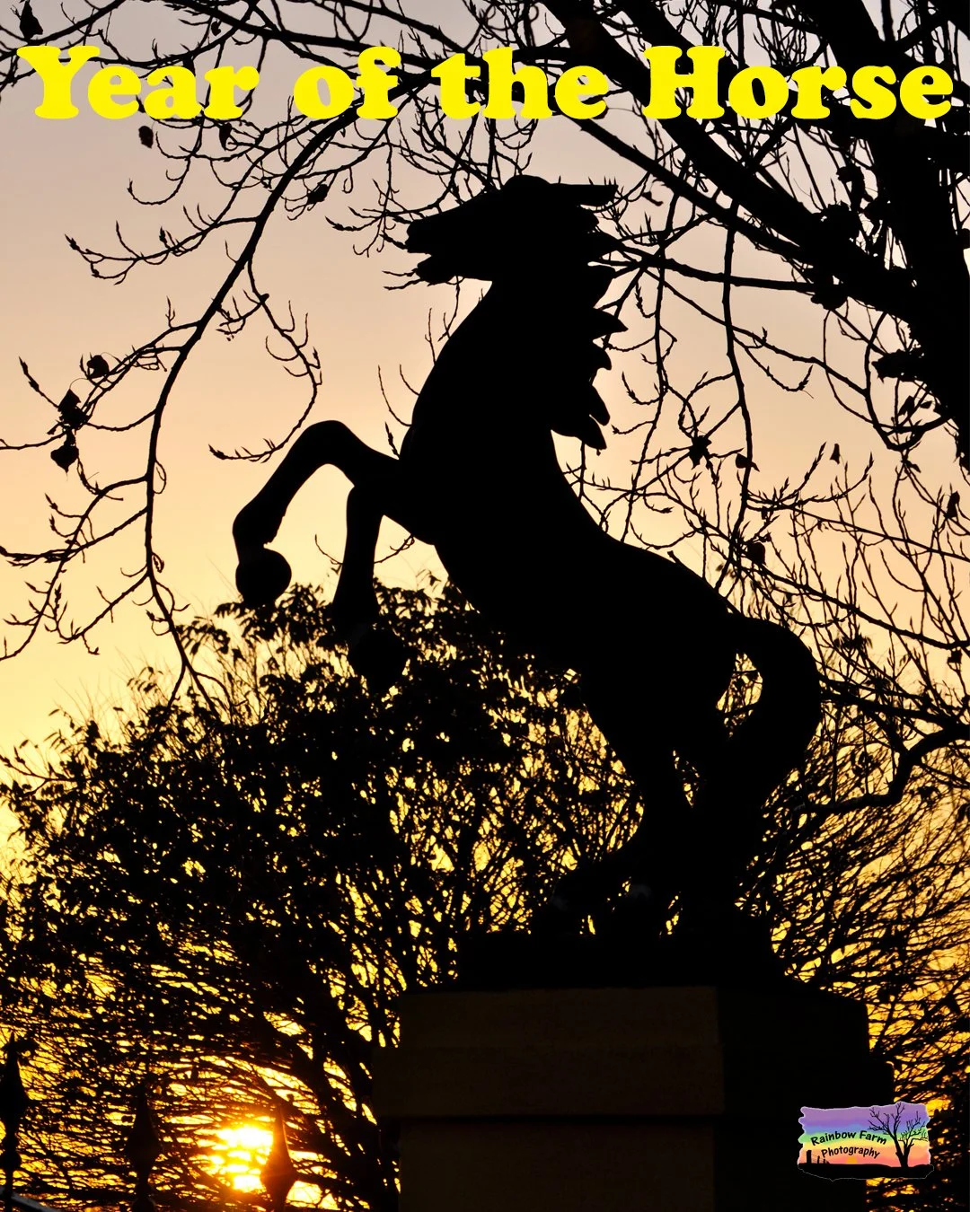 In the Chinese zodiac the Year of the Horse 
represents energy 
independence 
intelligence 
and strong spirit.

People born in the Year of the Horse are often described as 
lively 
determined 
and freedom loving

Horses themselves embody motion and v