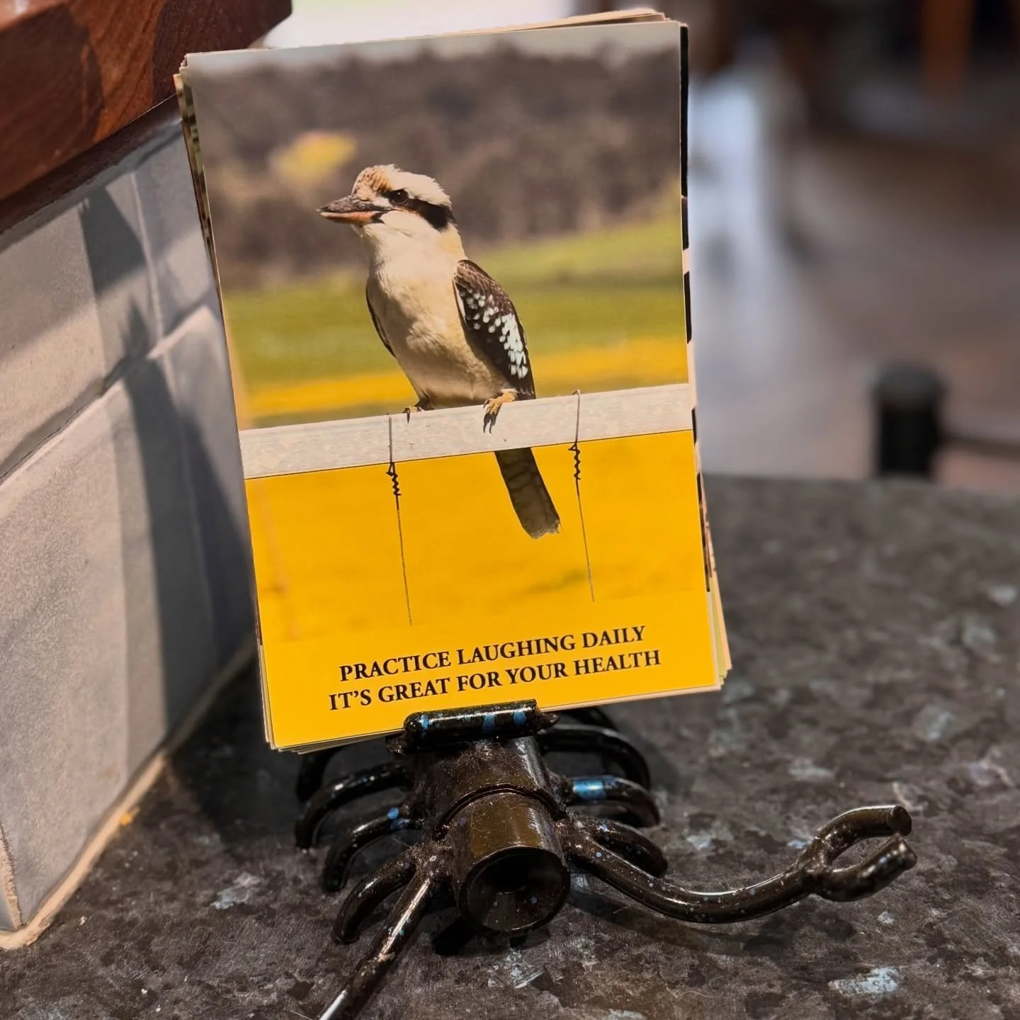 We can all do with a little more laughter in our lives.

It&rsquo;s April fools day so laugh away but don&rsquo;t be fooled.

It was appropriate that this card came up in my mocked up card deck for the soon to be Wild Wisdom affirmation deck. 

The f