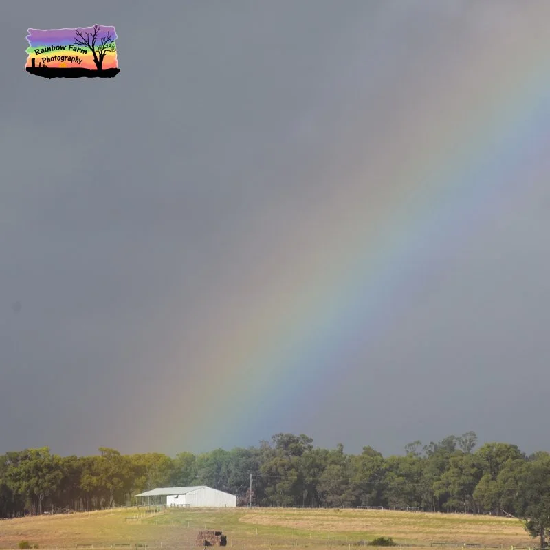 Okay but&hellip; what actually is a rainbow?

It&rsquo;s basically sunlight playing.

When light passes through tiny drops of water in the air&hellip; it bends&hellip; separates&hellip; and suddenly you get colour scattered across the sky.

A little 