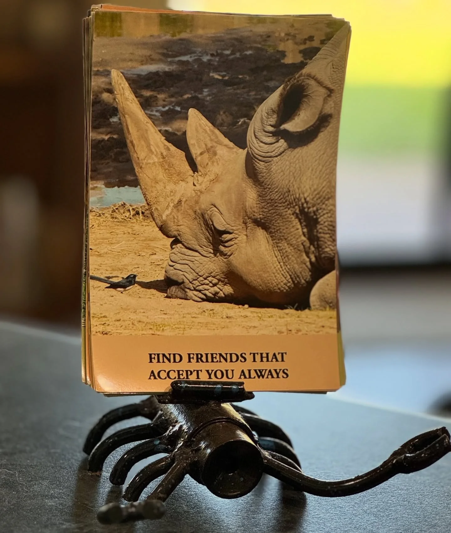 Tag that friend that is always there for you.

Sometimes we wonder how our besties are so when we are unlikely connections but that&rsquo;s what makes that soul join so special.

Reach out and give your bestie some love today we need to nurture them 