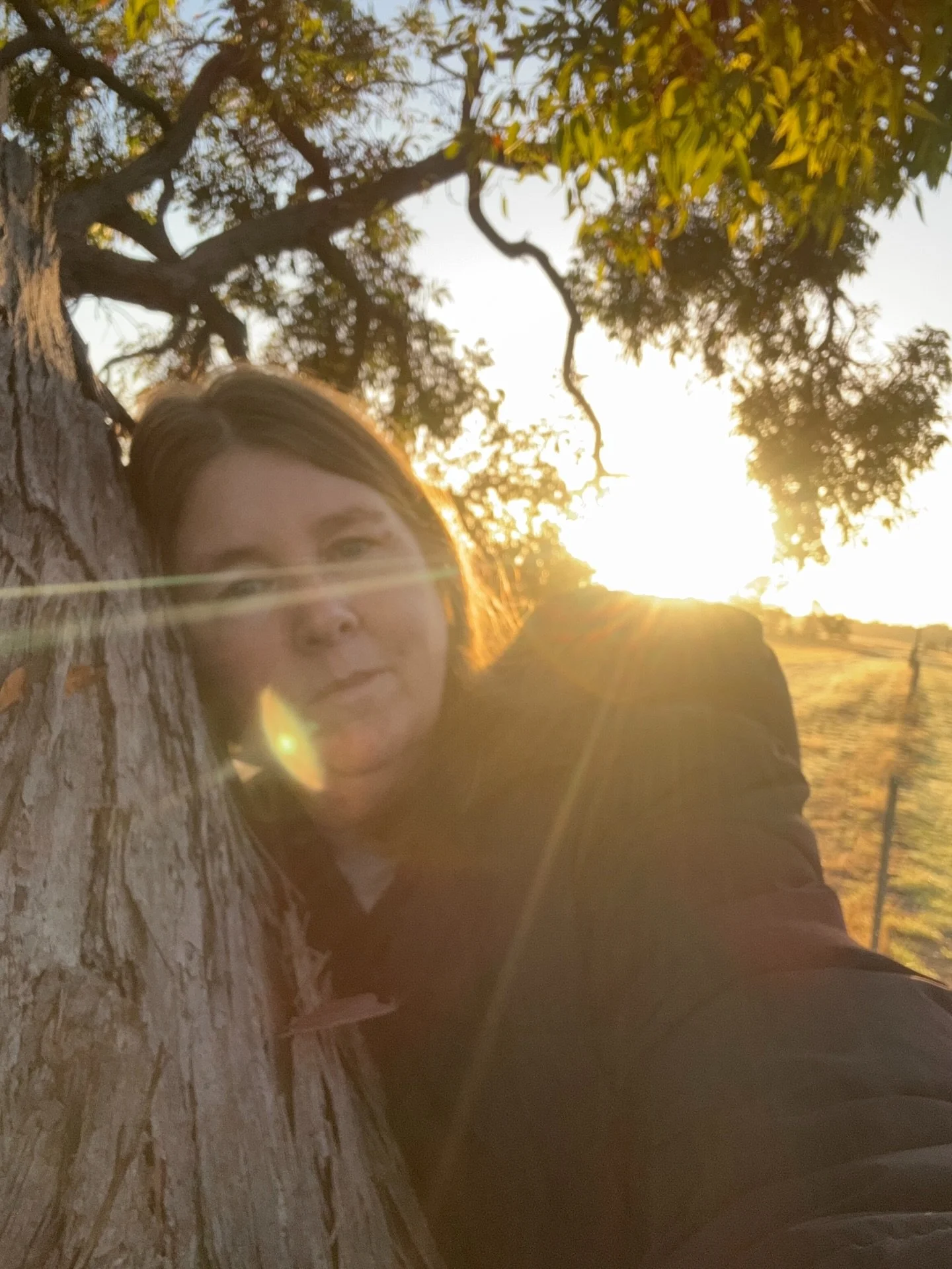 Do you have a favourite tree?

I have a farm full of trees and I love them all but there are certainly favourites amongst them.

This beauty is on our boundary fence and has developed a lean in the last ten years but it is beautiful and totally hugga