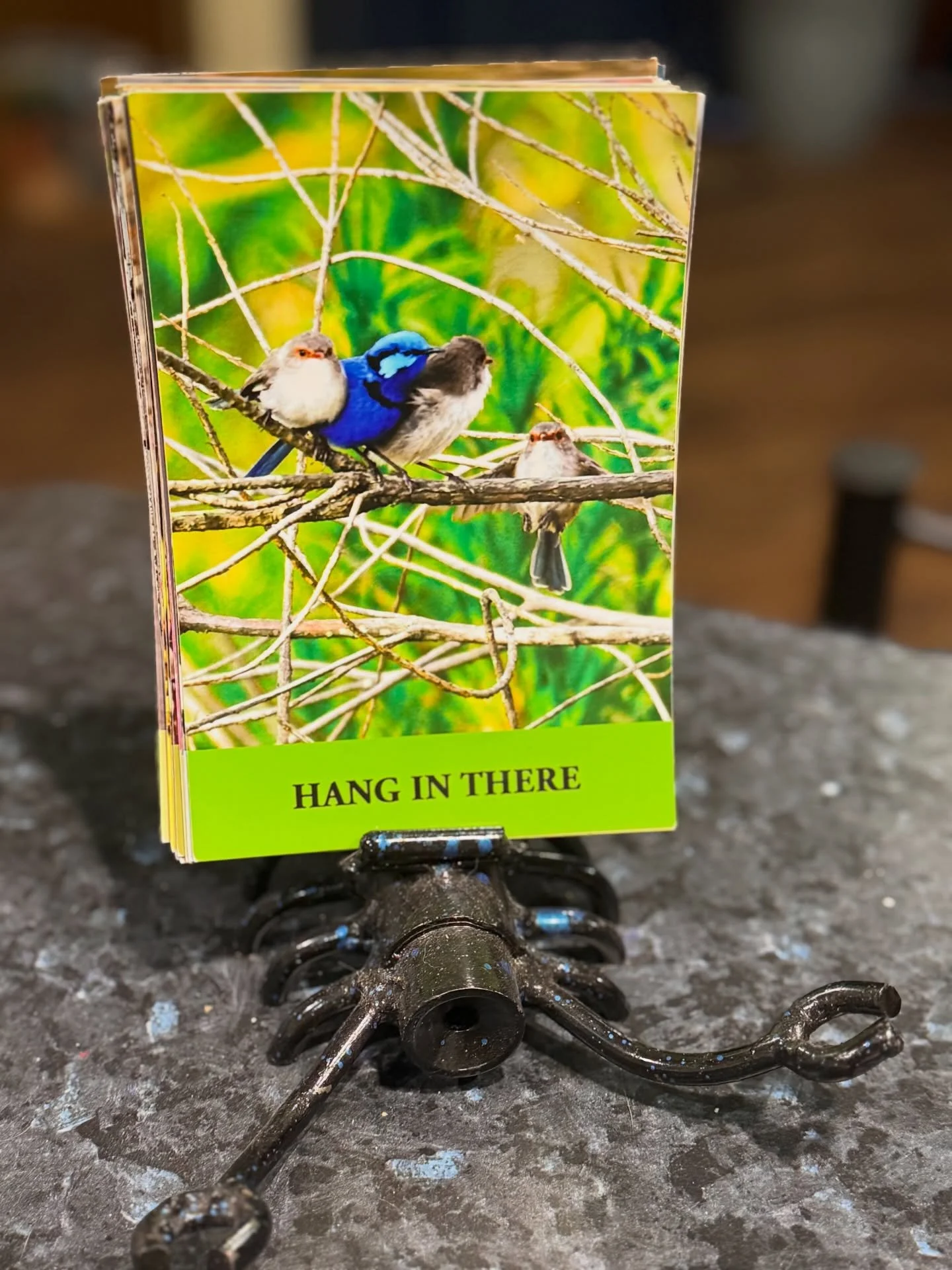 I hope this card makes you smile it always reminds me of the day I took this image of the blue wren family. Just a normal life day out hanging the washing out when I noticed the blue wrens flitting around in the bush outside the yard fence. I watched