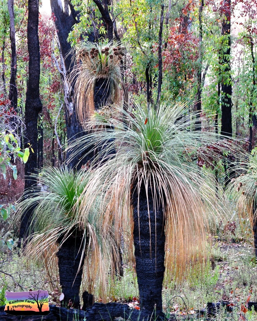 Images from near and far&hellip;
Different places&hellip; different landscapes&hellip;
But all part of the same Earth we share

No matter where we go&hellip;
Across the world or just down the road&hellip;
There&rsquo;s a quiet responsibility we carry