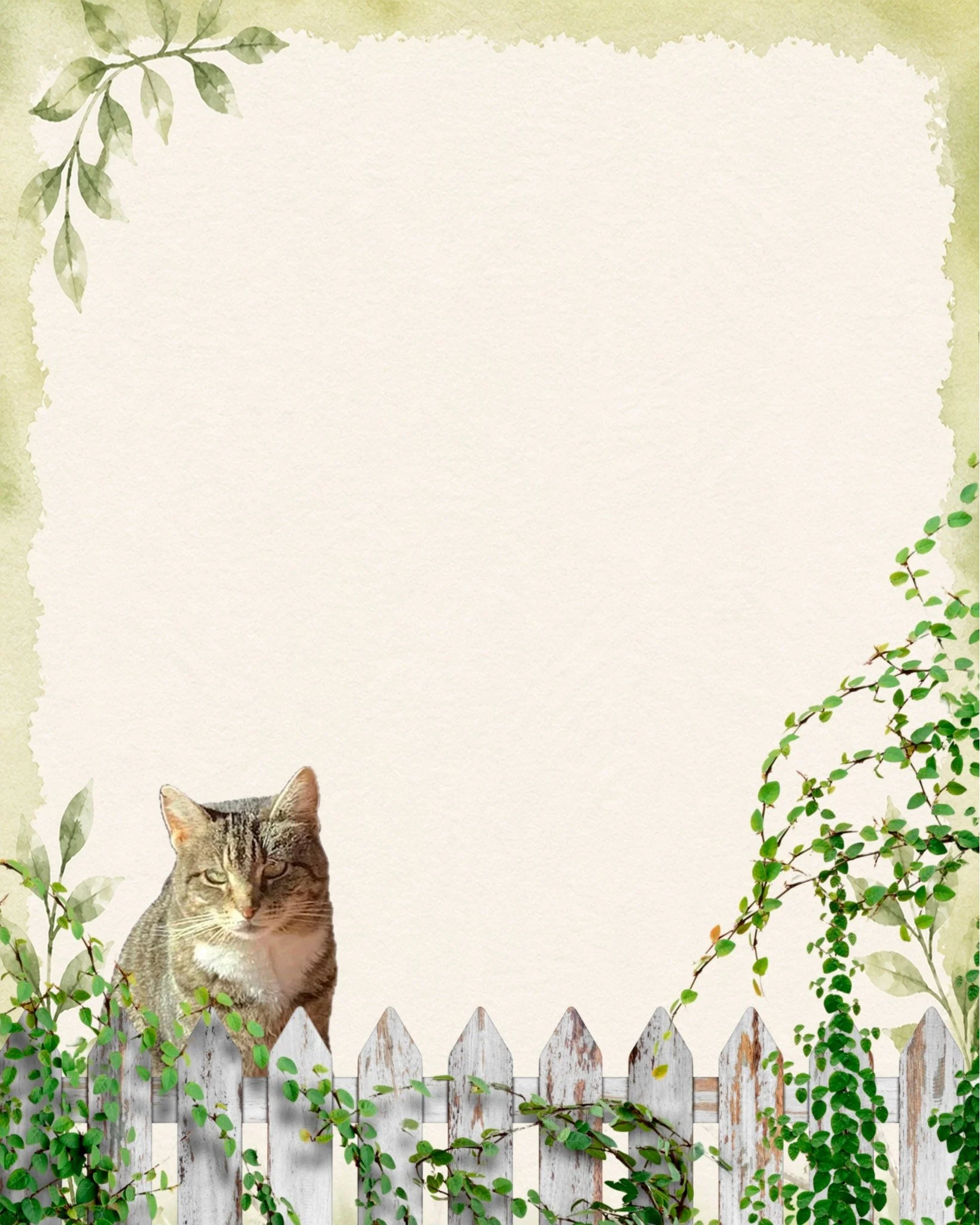 Being a Pet Mum we are addicted to our babies and love to share them with everyone we meet.

This Mother's day treat yourself to something different ....

Note paper and/or Shopping lists with your pet featured.

All you do is send a photo of your pe