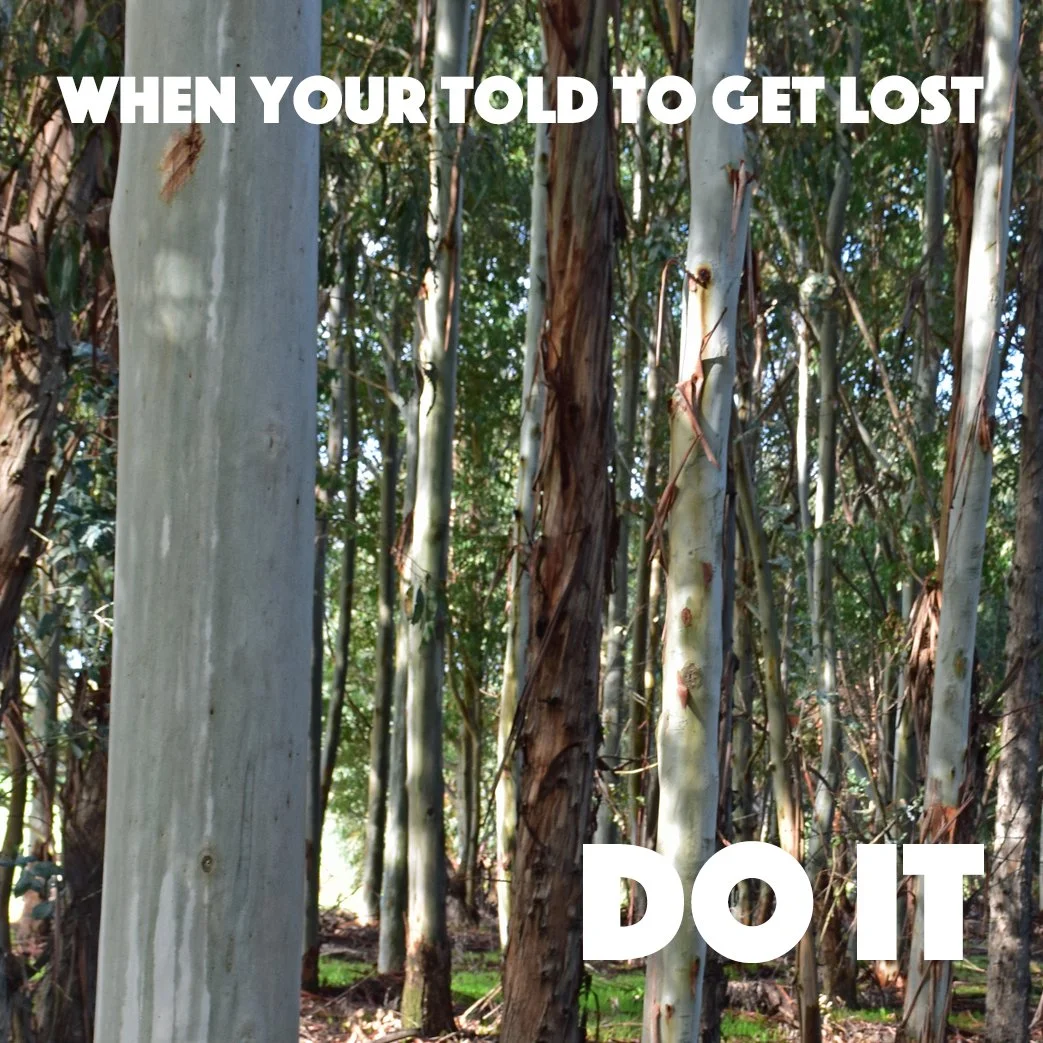 Told to get lost .... or even you are lost ....

Enjoy it ...

Wouldn't it be funny if we just picked up and got lost .... 

into the trees .. just walk deep in and breathe.