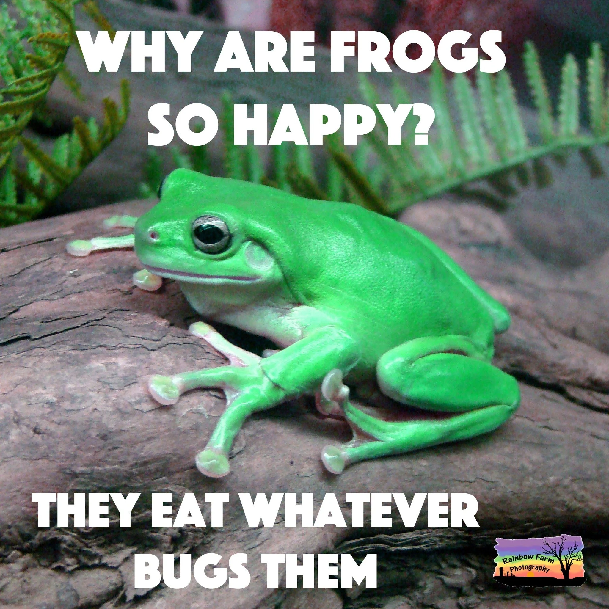 Wouldn't it be so nice to eat what bugs us ...lol.