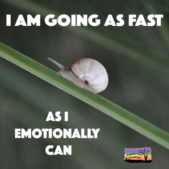 Feeling a little sluggish .... 

I love these white snails they make me smile and I hope they do for you too.