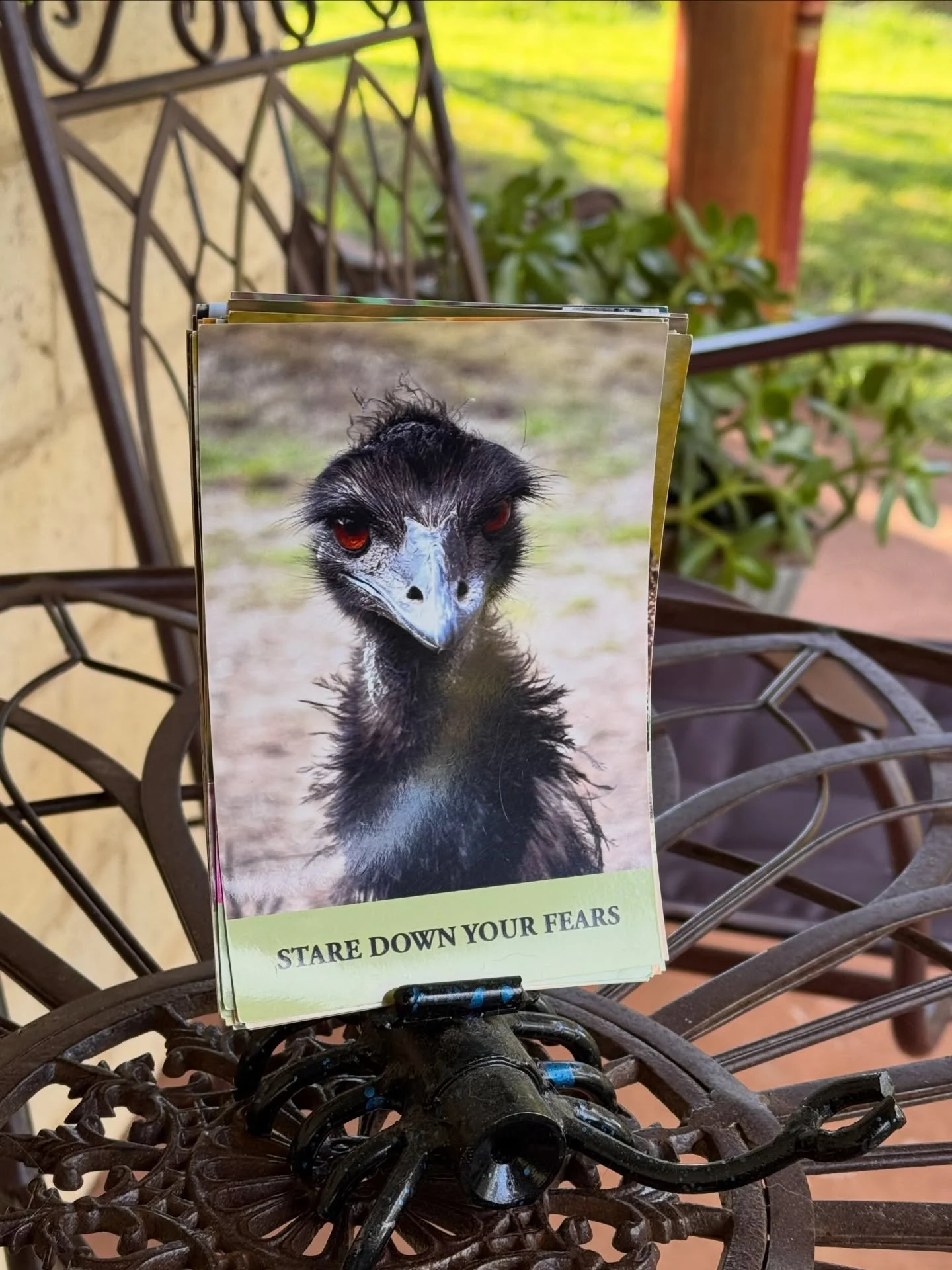 It&rsquo;s time to stare down the fear and step into action.

I have procrastinated long enough its type to hit publish .. done is better than perfect.

I want you all to hold me accountable if I don&rsquo;t post a link to a sales page for my Wild Wi