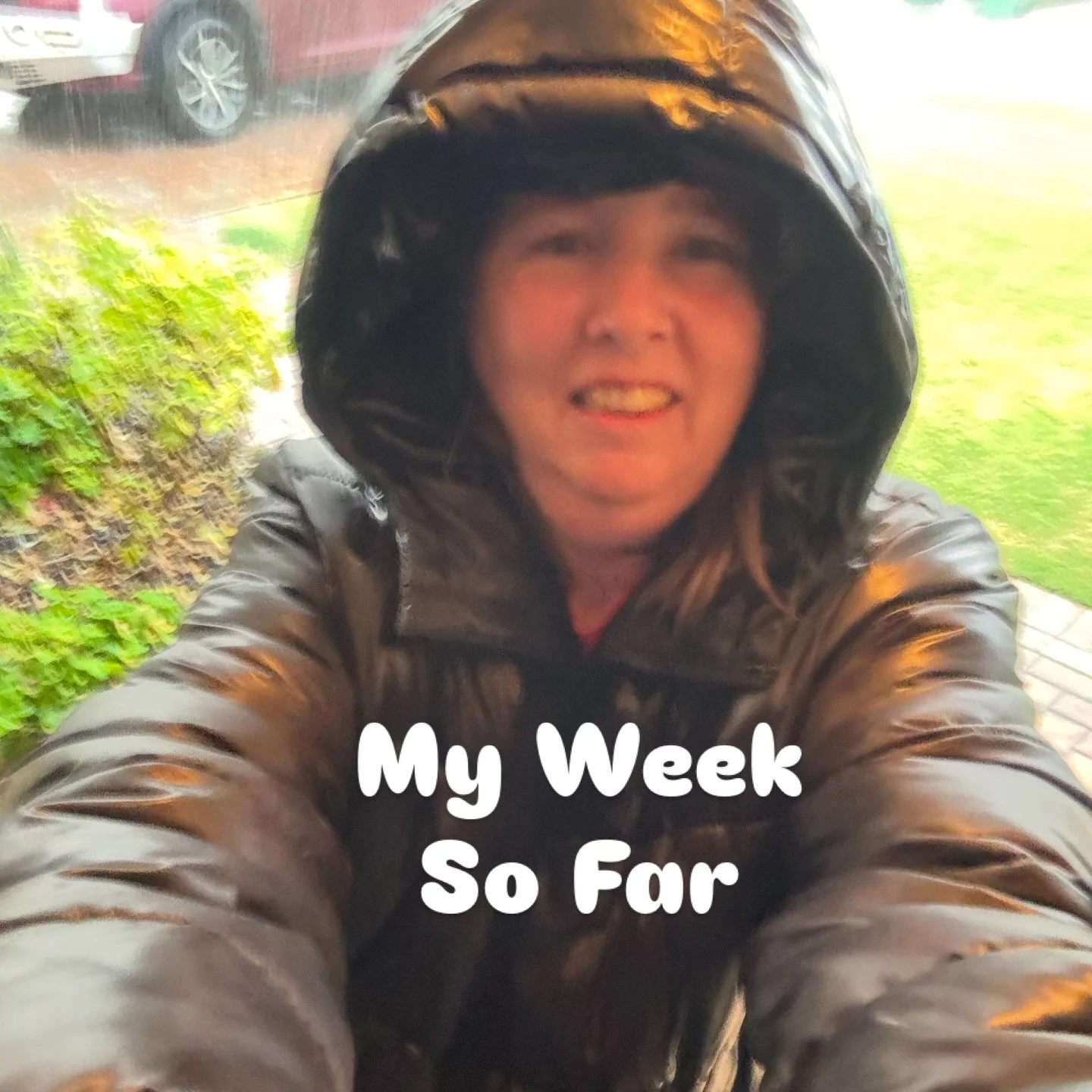 Lots of Rain and Lots of Dogs this week have been keeping me busy.

Fully booked with @gypsea_tails_busselton with lots of playing in the rain.

Do you still play/walk with your dog when it&rsquo;s raining?

#livinglife #dogsitting #raining