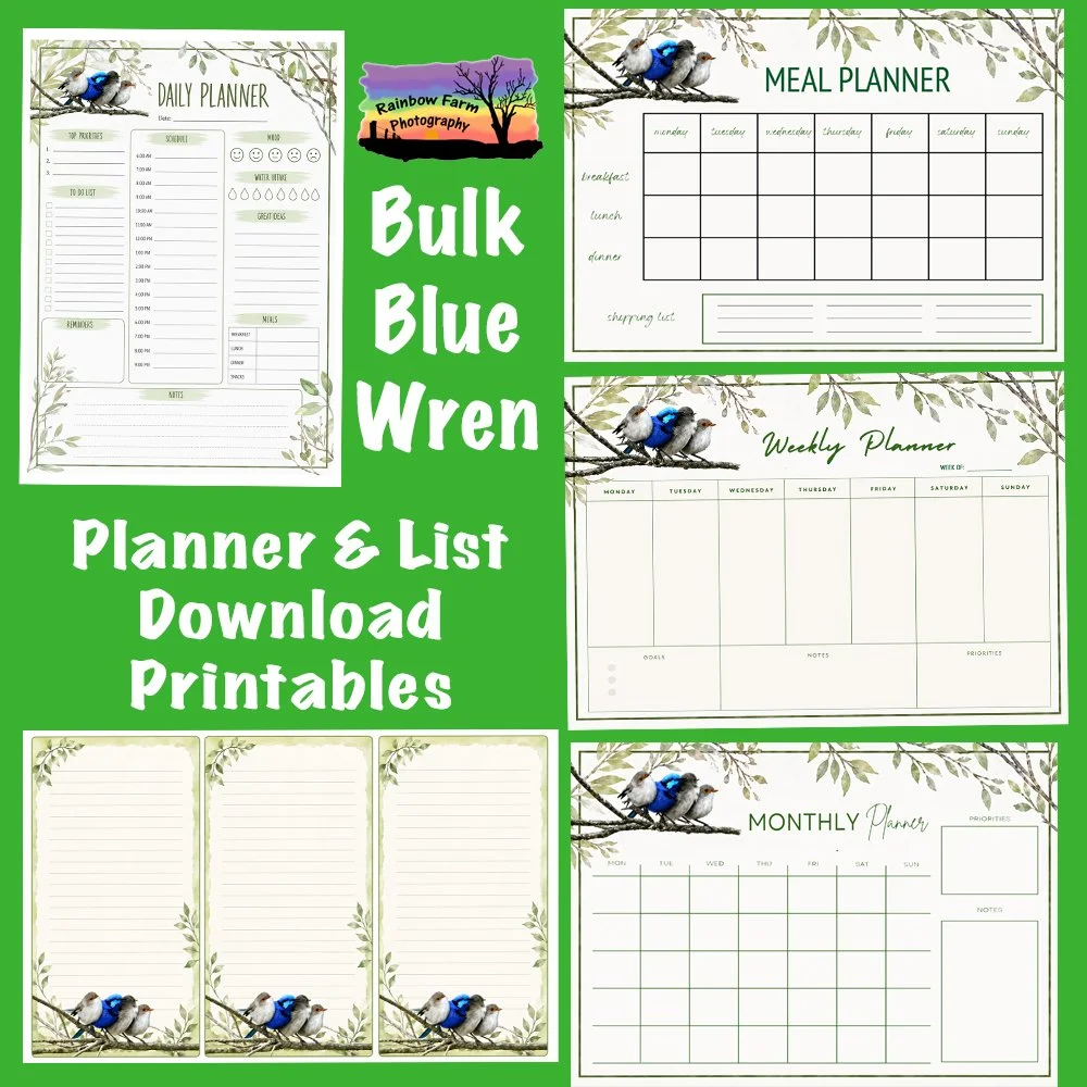 bulk bluewren planners.jpg