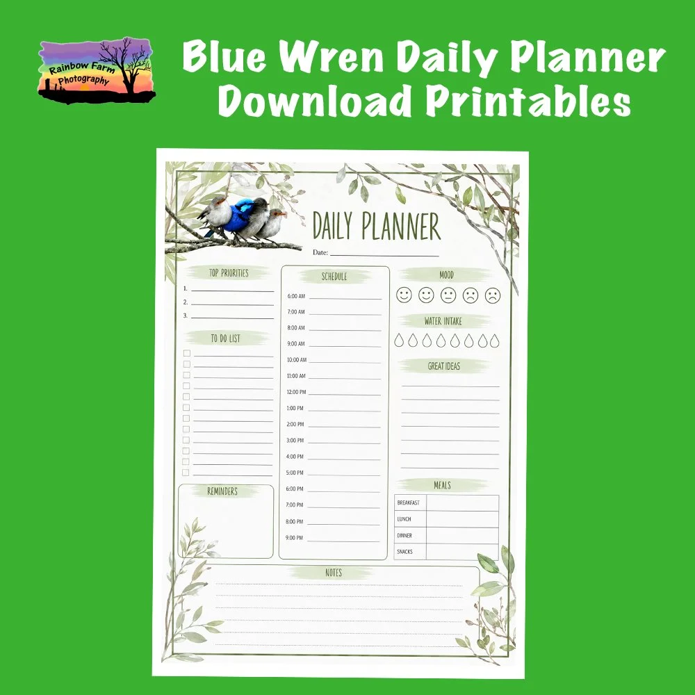 Blue Wren Daily Planner Download Printable