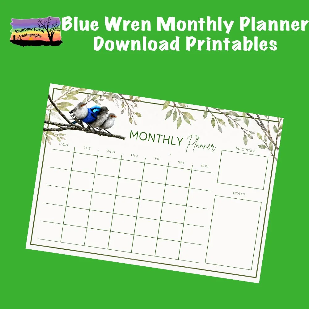 Blue Wren Monthly Planner Download Printable