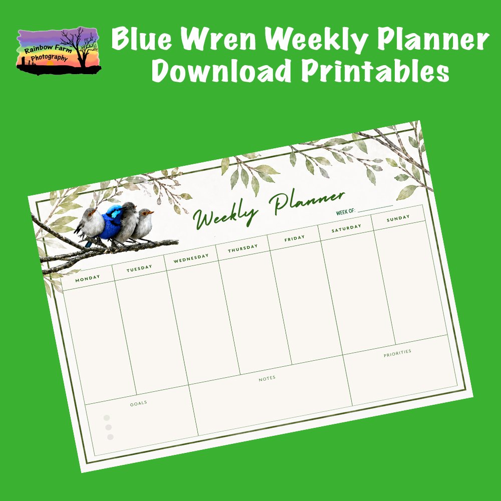Blue Wren Weekly Planner Download Printable