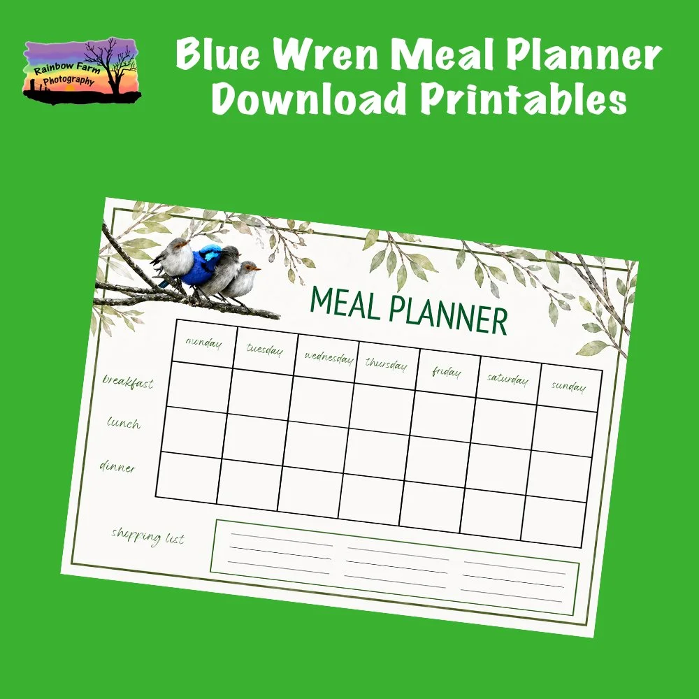 Blue Wren Meal Planner Download Printable
