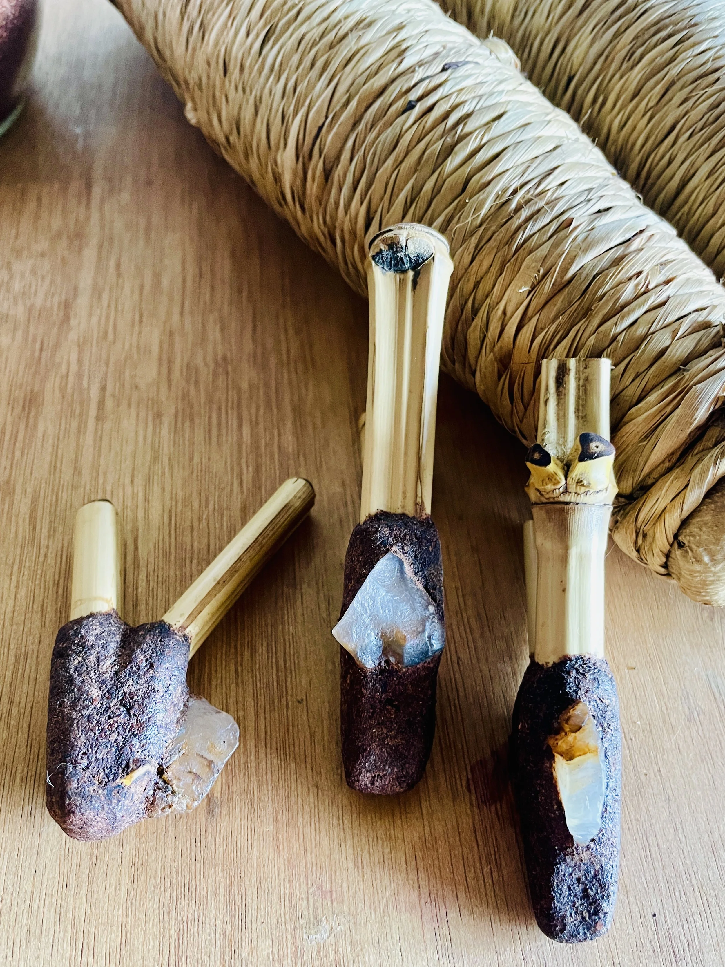 rape testa cacao.JPG