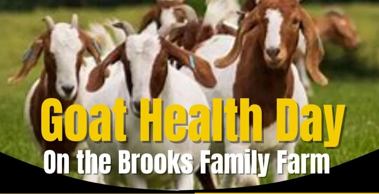 Goat Health Day | Brooks Family Farm