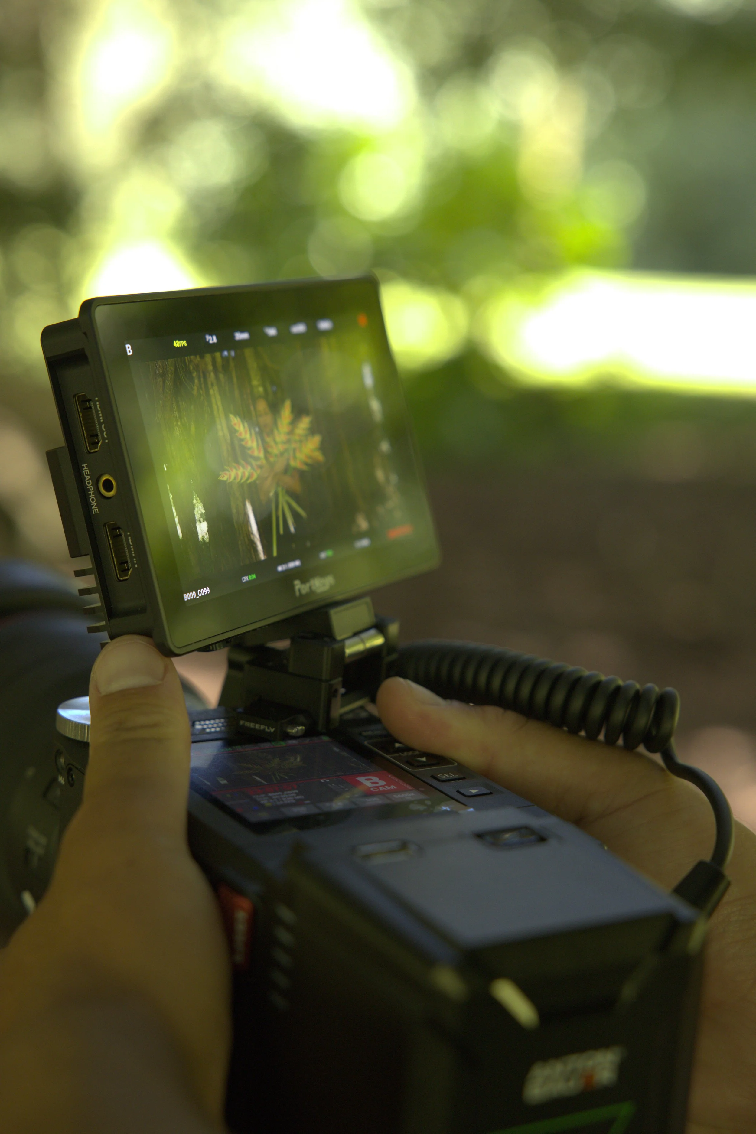 Close-up of a person holding a mobile device with a camera app open, capturing a photo of a plant with colorful leaves. The background is blurred with natural green lighting.