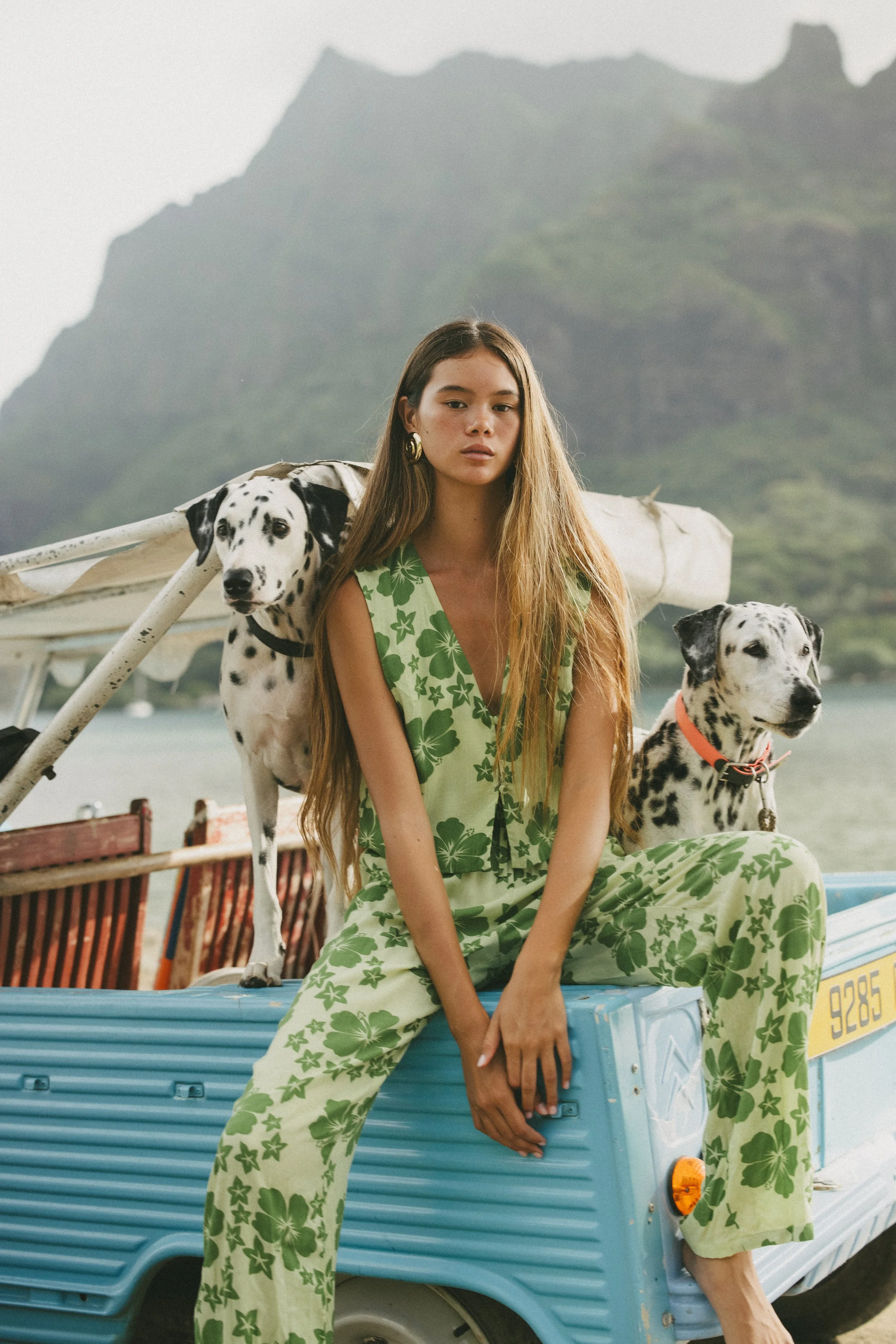 A young woman with long hair wearing a green dress with a floral pattern, sitting on a blue vintage vehicle with Dalmatian dogs around her. One Dalmatian stands beside her and another sits nearby, with a mountain in the background.