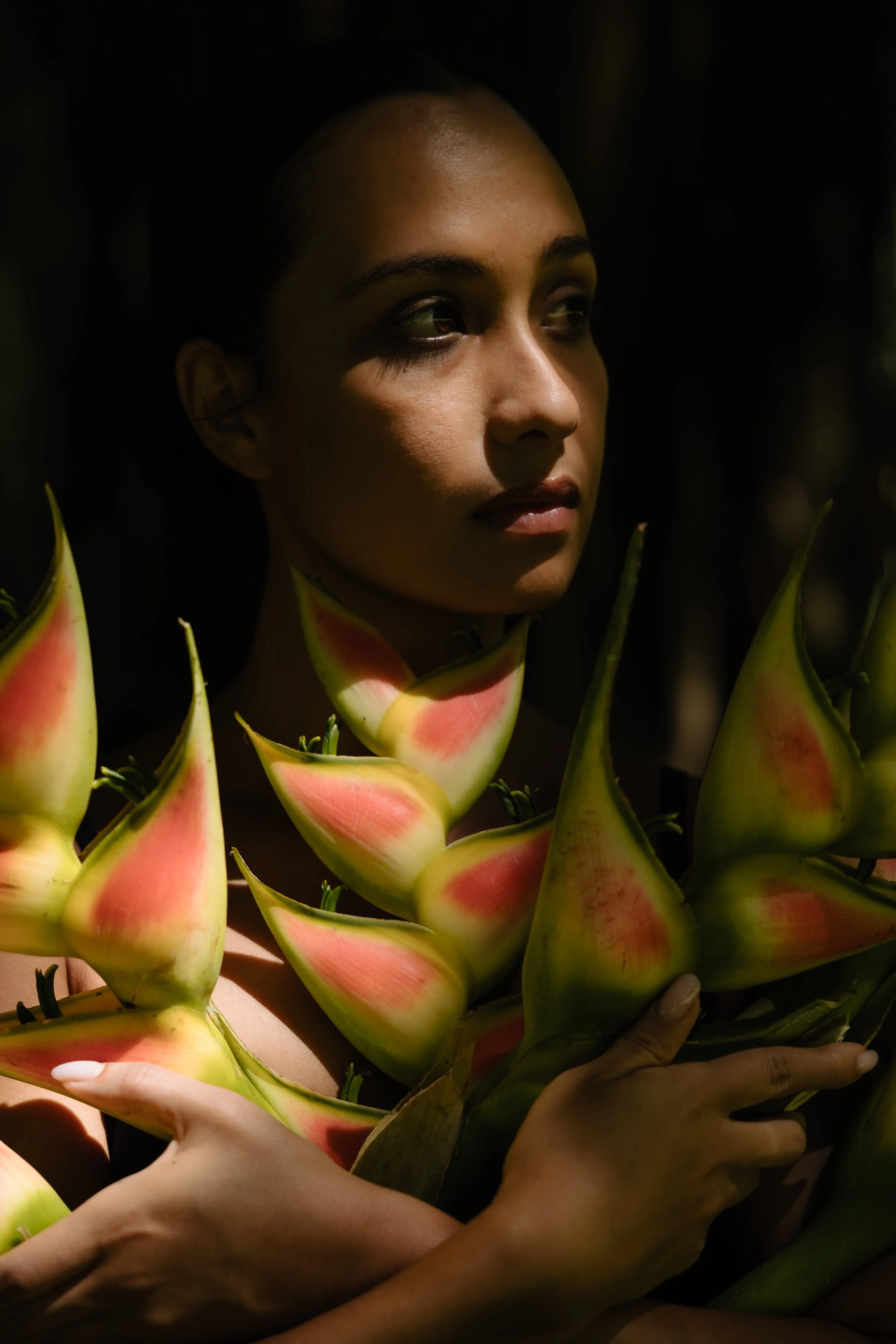BirdOfParadise-26.jpg